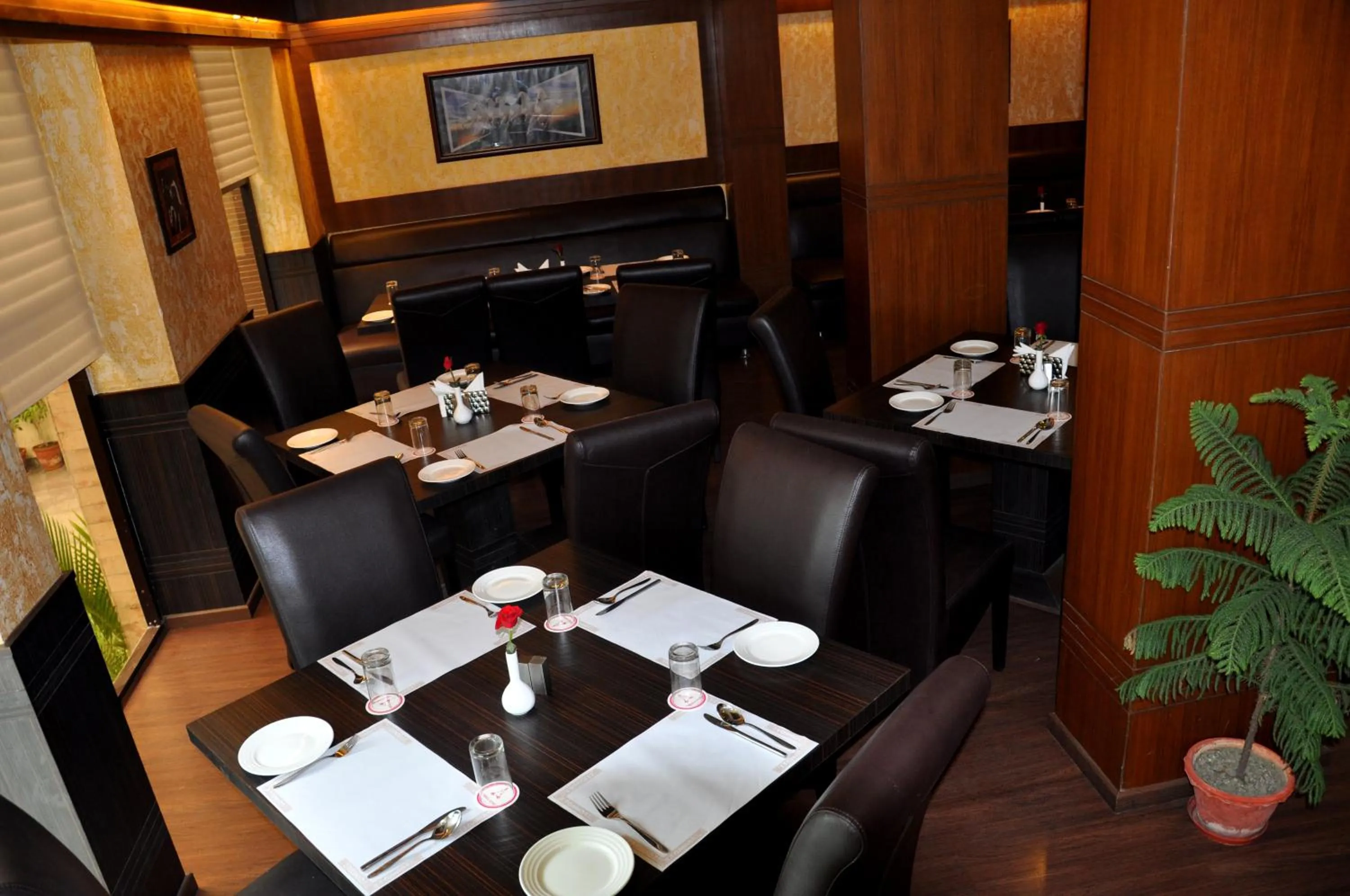 Divine Paradise Tavisha