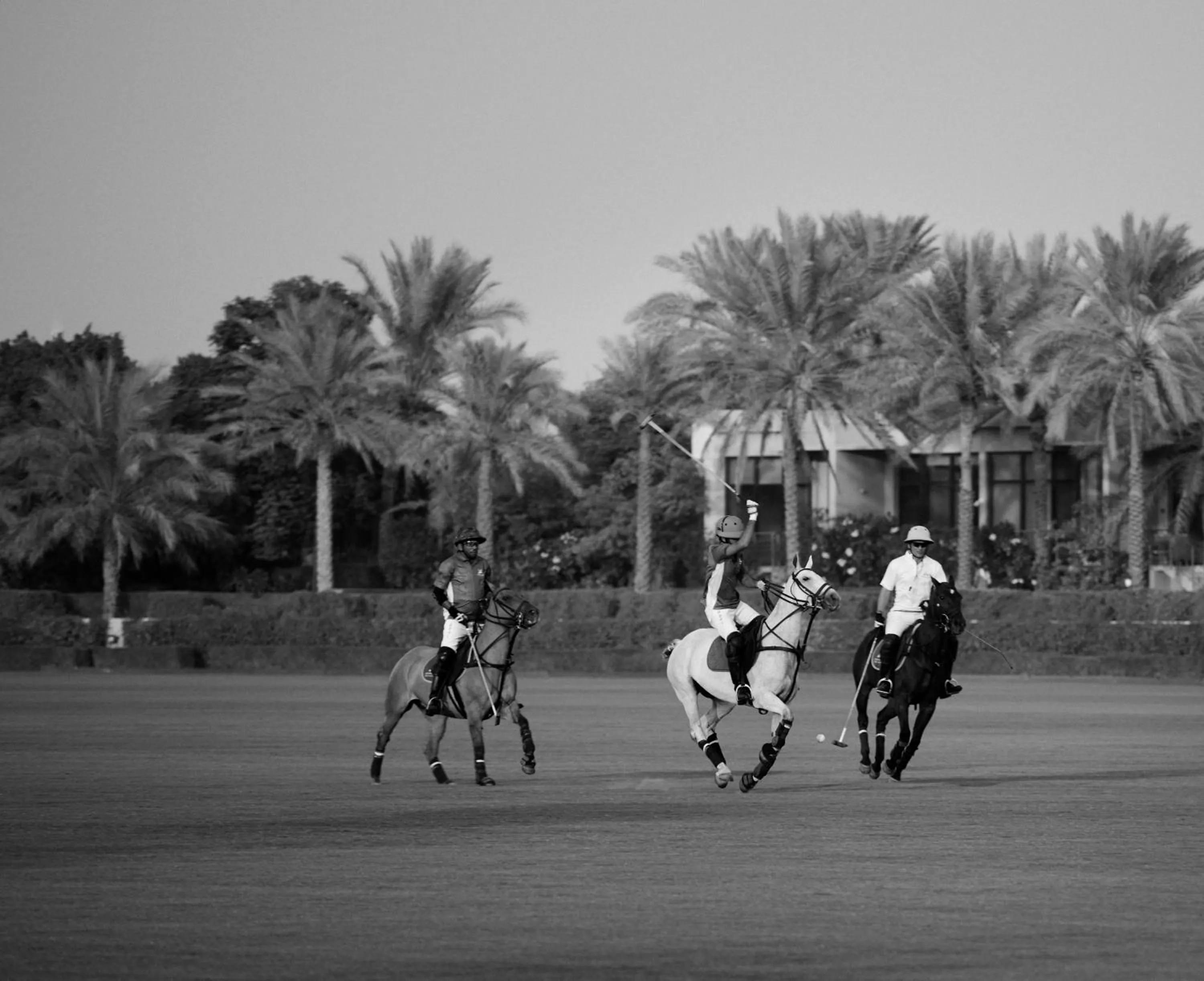 Entertainment in Meliá Desert Palm Member of Meliá Collection