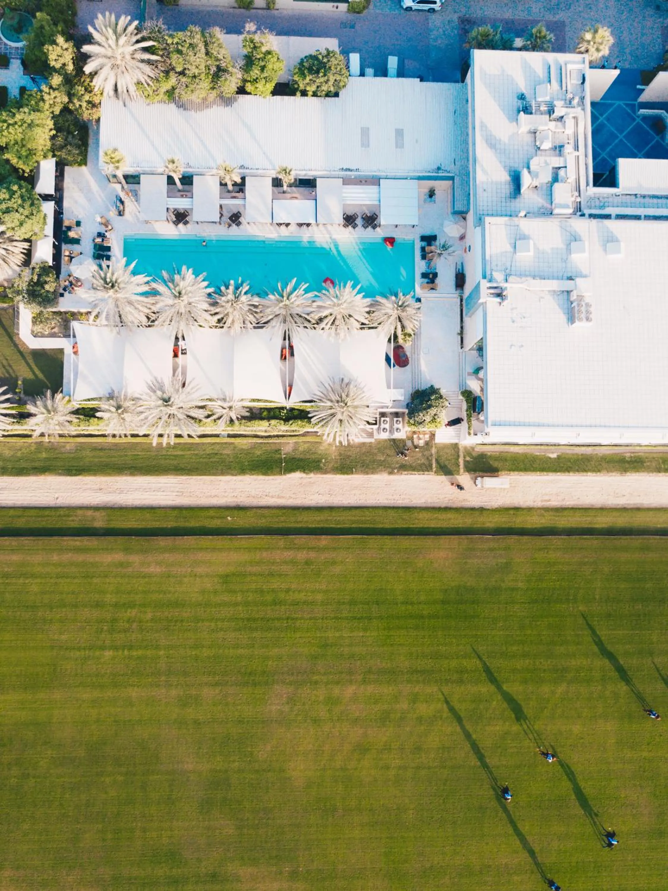 Spring in Meliá Desert Palm Member of Meliá Collection