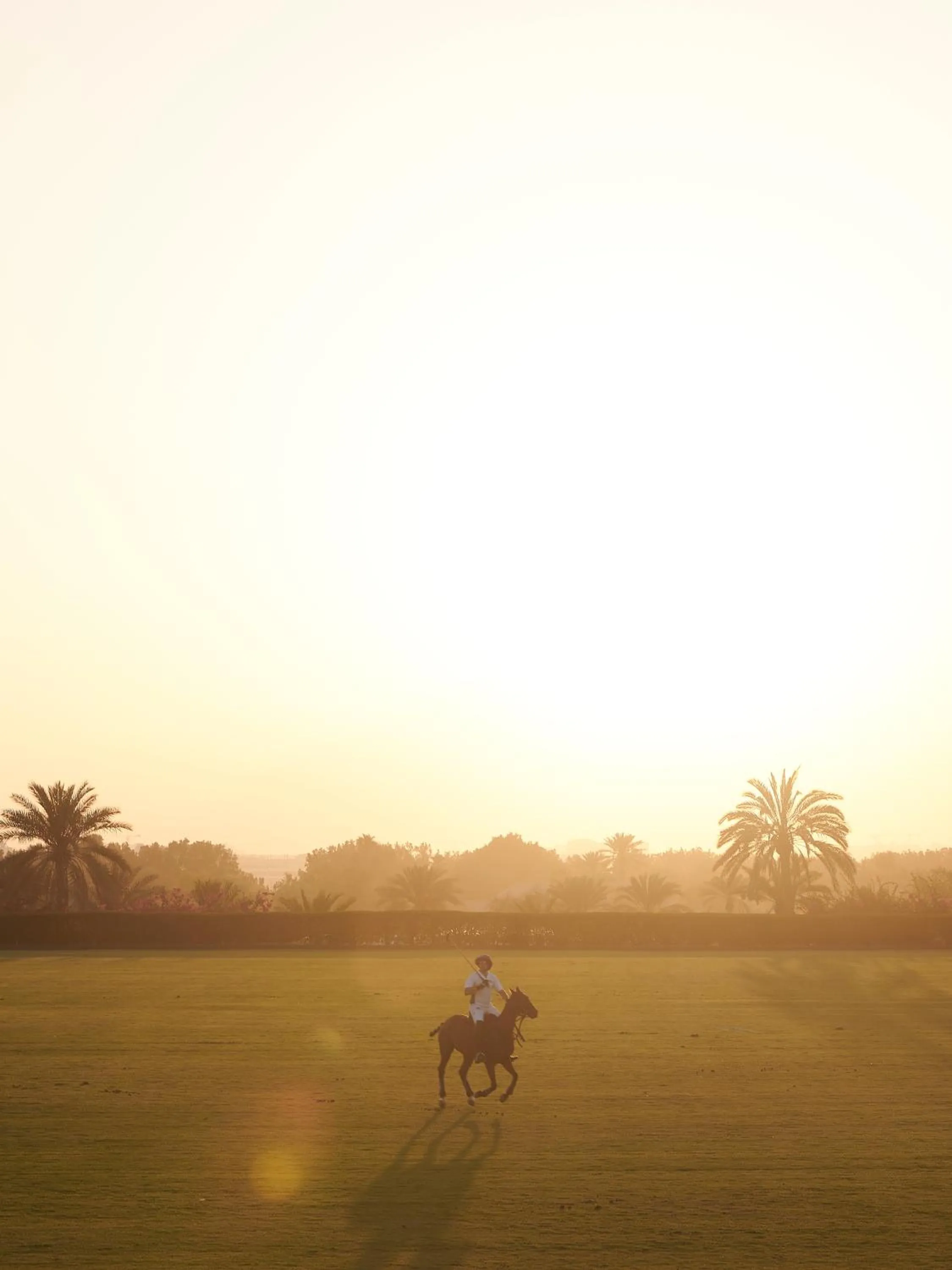 Entertainment in Meliá Desert Palm Member of Meliá Collection