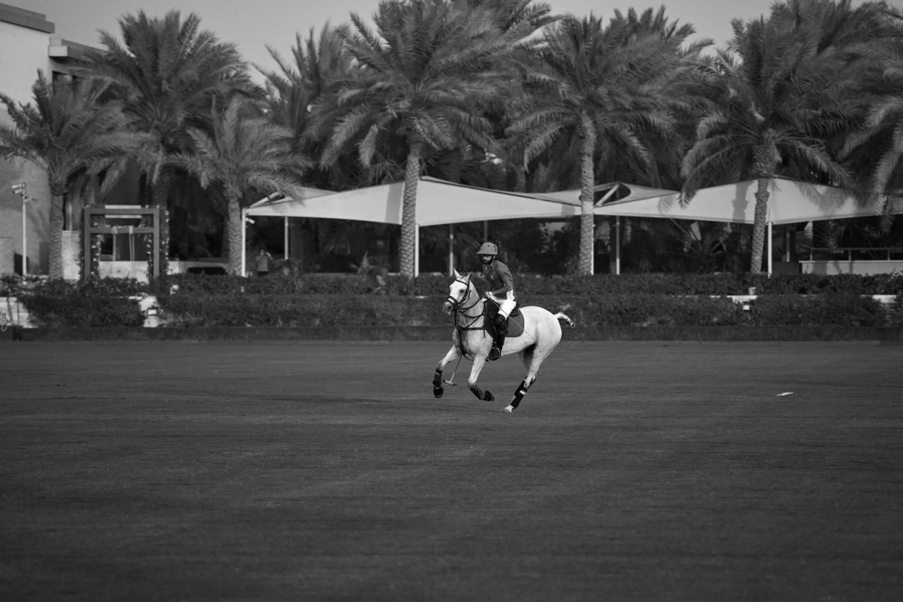 Entertainment in Meliá Desert Palm Member of Meliá Collection