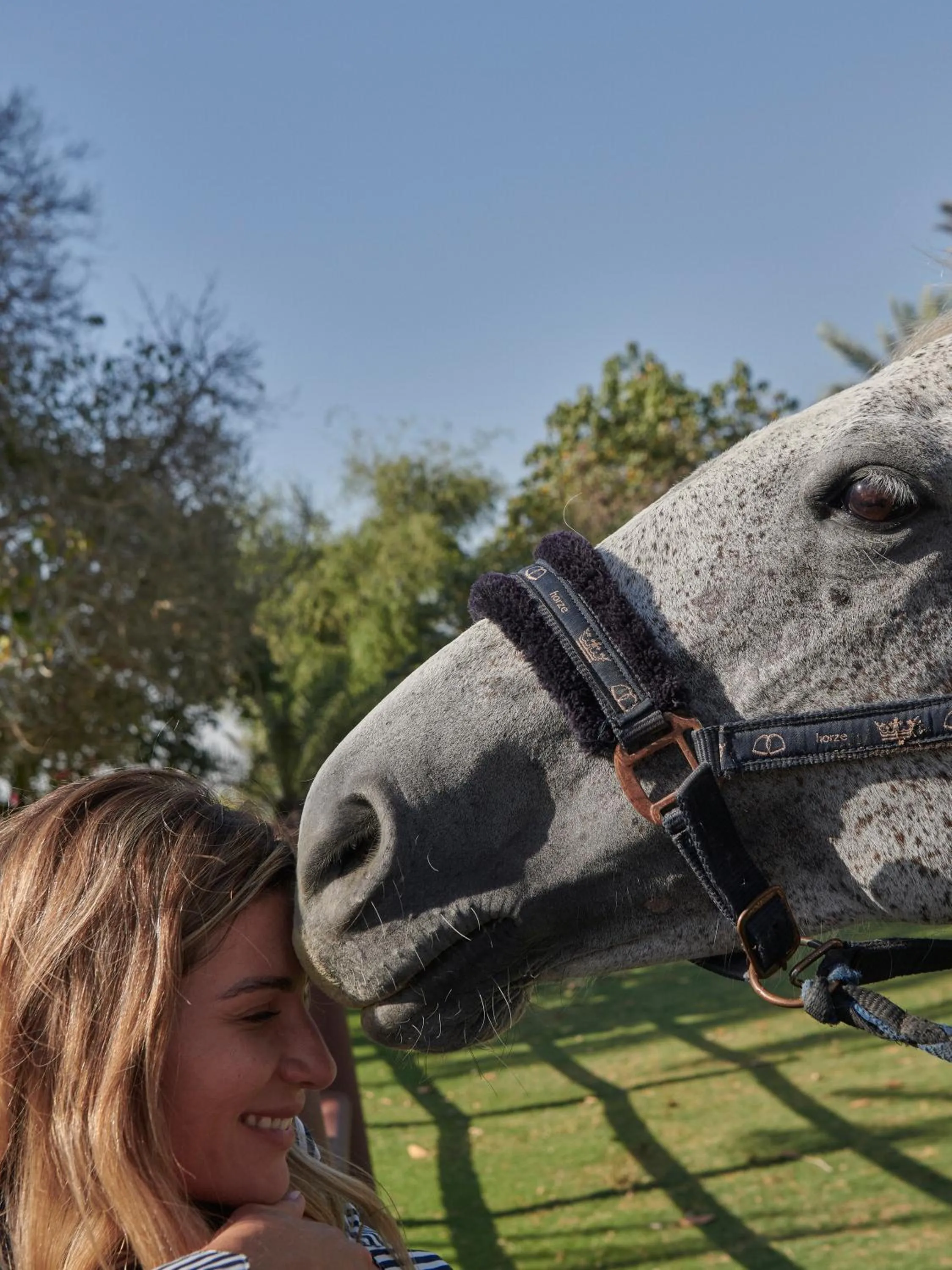 Entertainment in Meliá Desert Palm Member of Meliá Collection