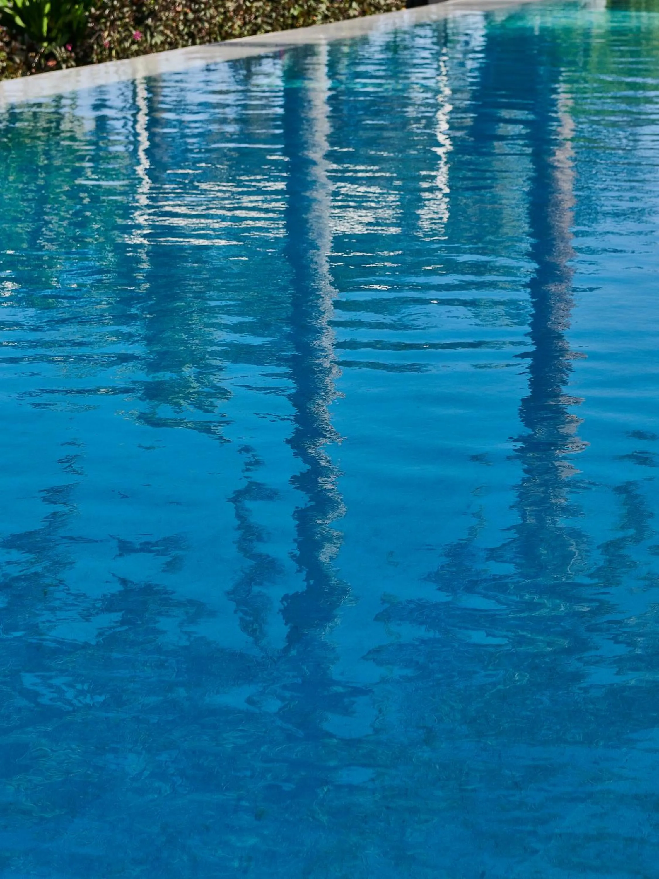 Swimming pool in Meliá Desert Palm Member of Meliá Collection