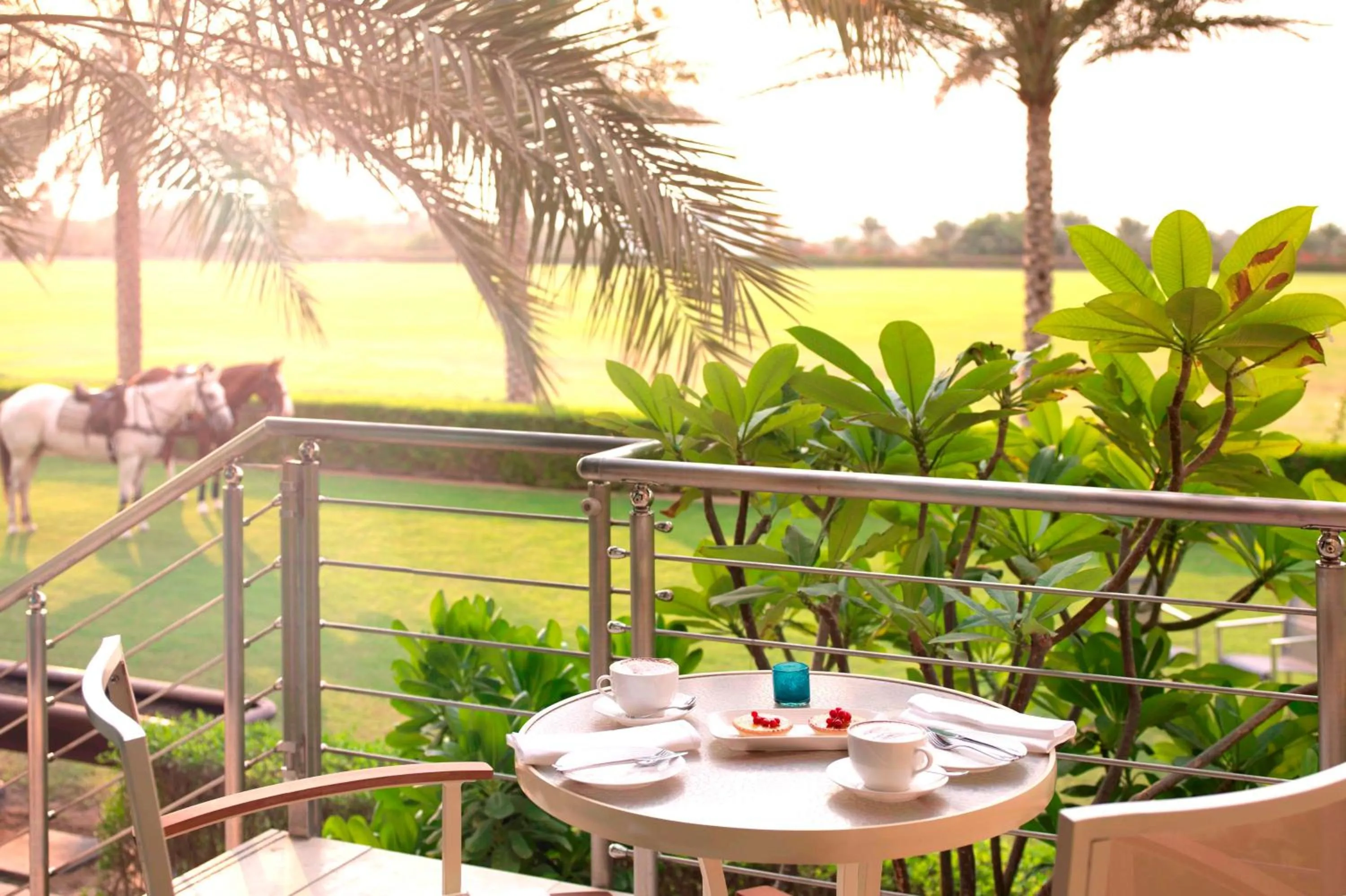 Balcony/Terrace in Meliá Desert Palm Member of Meliá Collection
