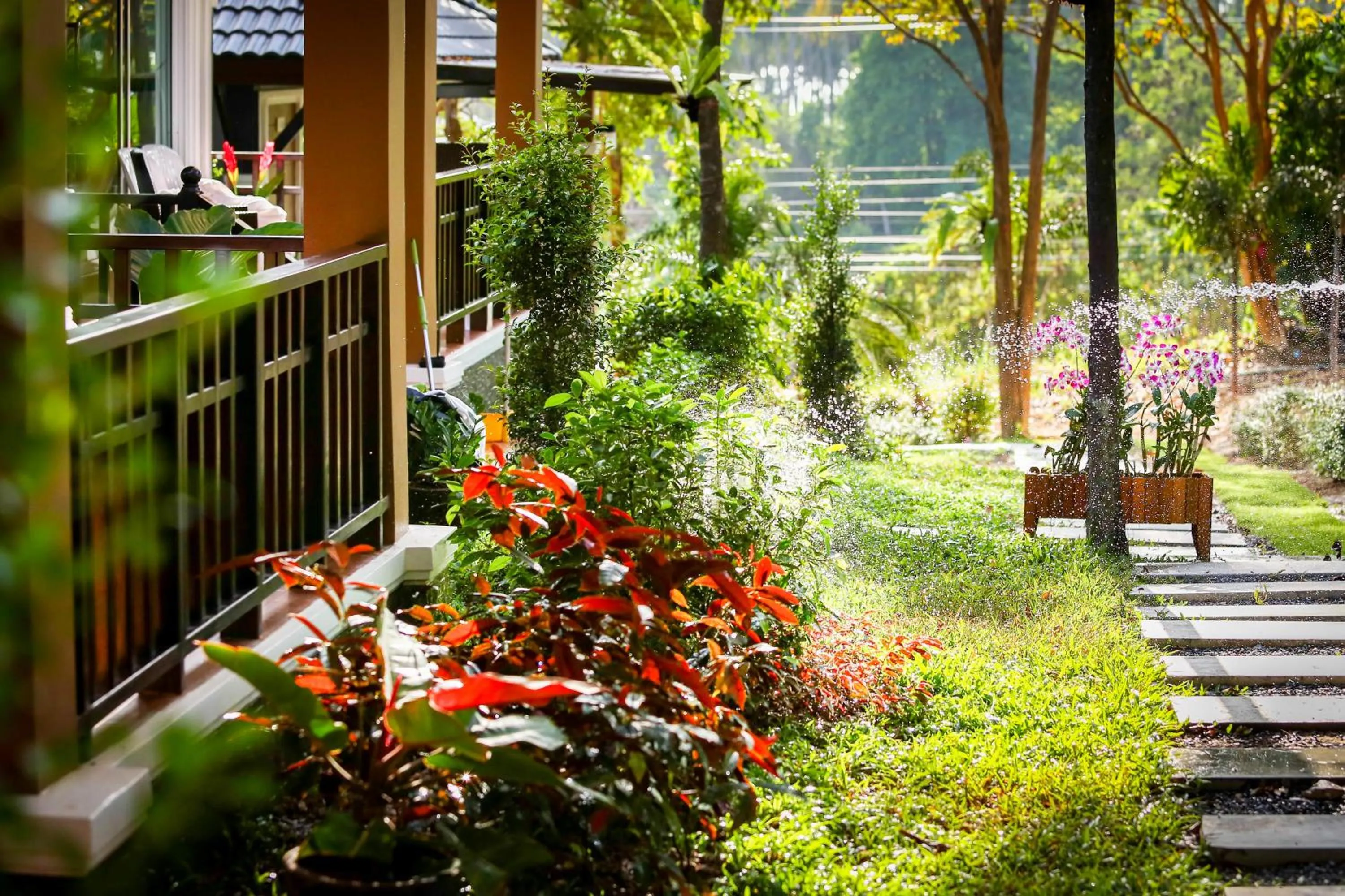 Garden view in Phutara Lanta Resort - SHA Extra Plus Koh Lanta