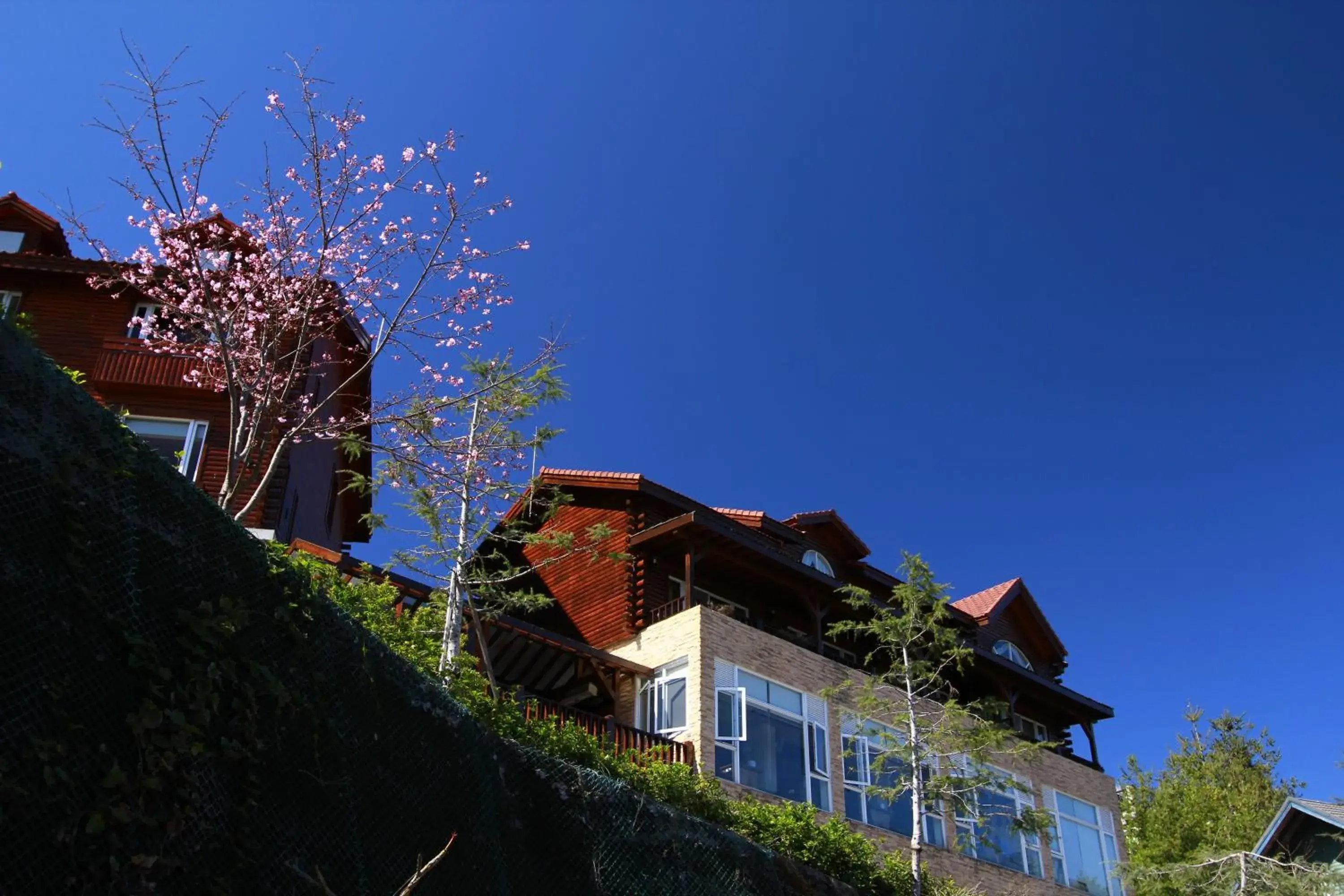 Restaurant/places to eat in Ailiga Travel Villa Restaurant/places to eat in Ailiga Travel Villa