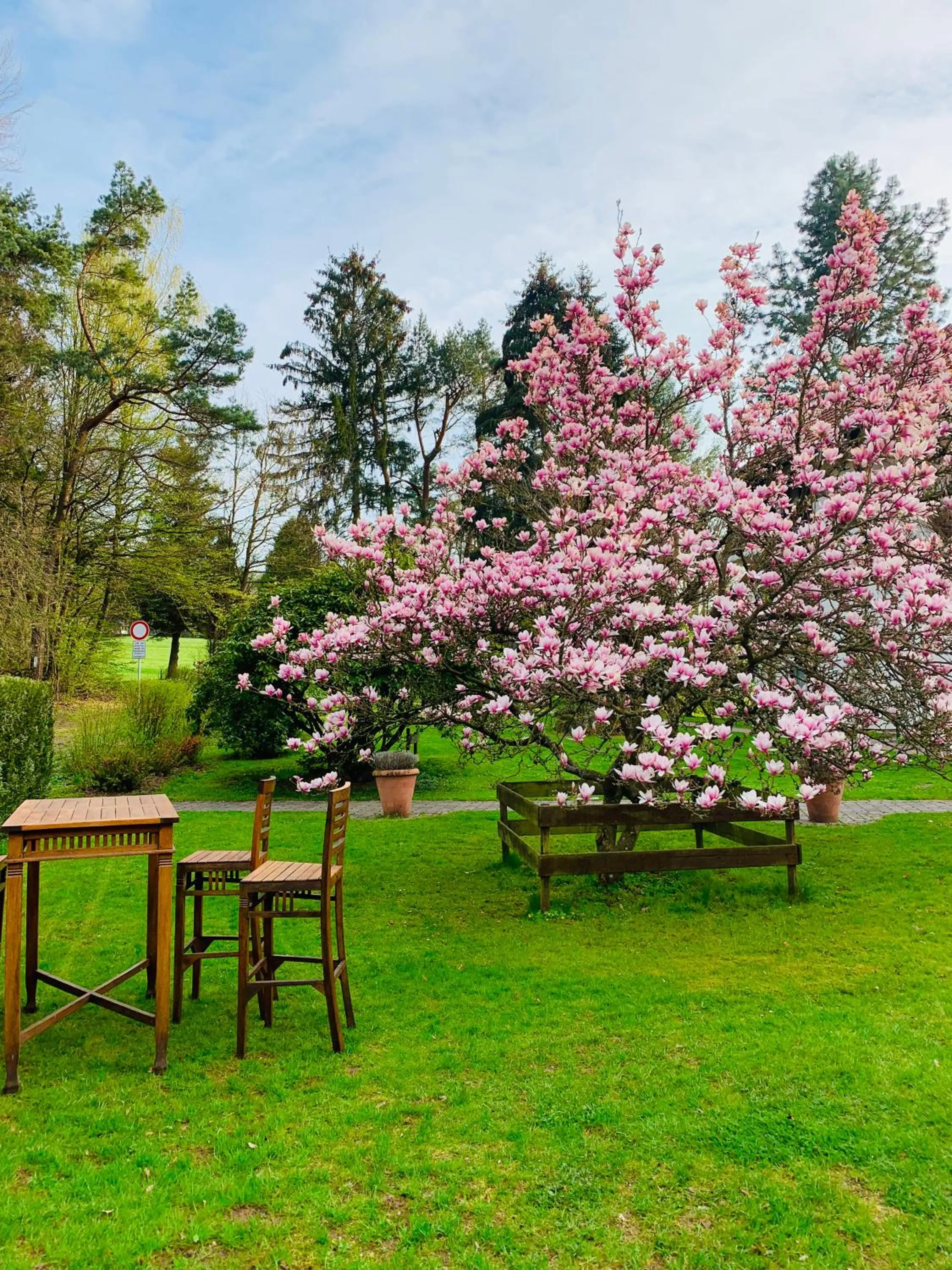 Spring in Landhotel Waldhaus
