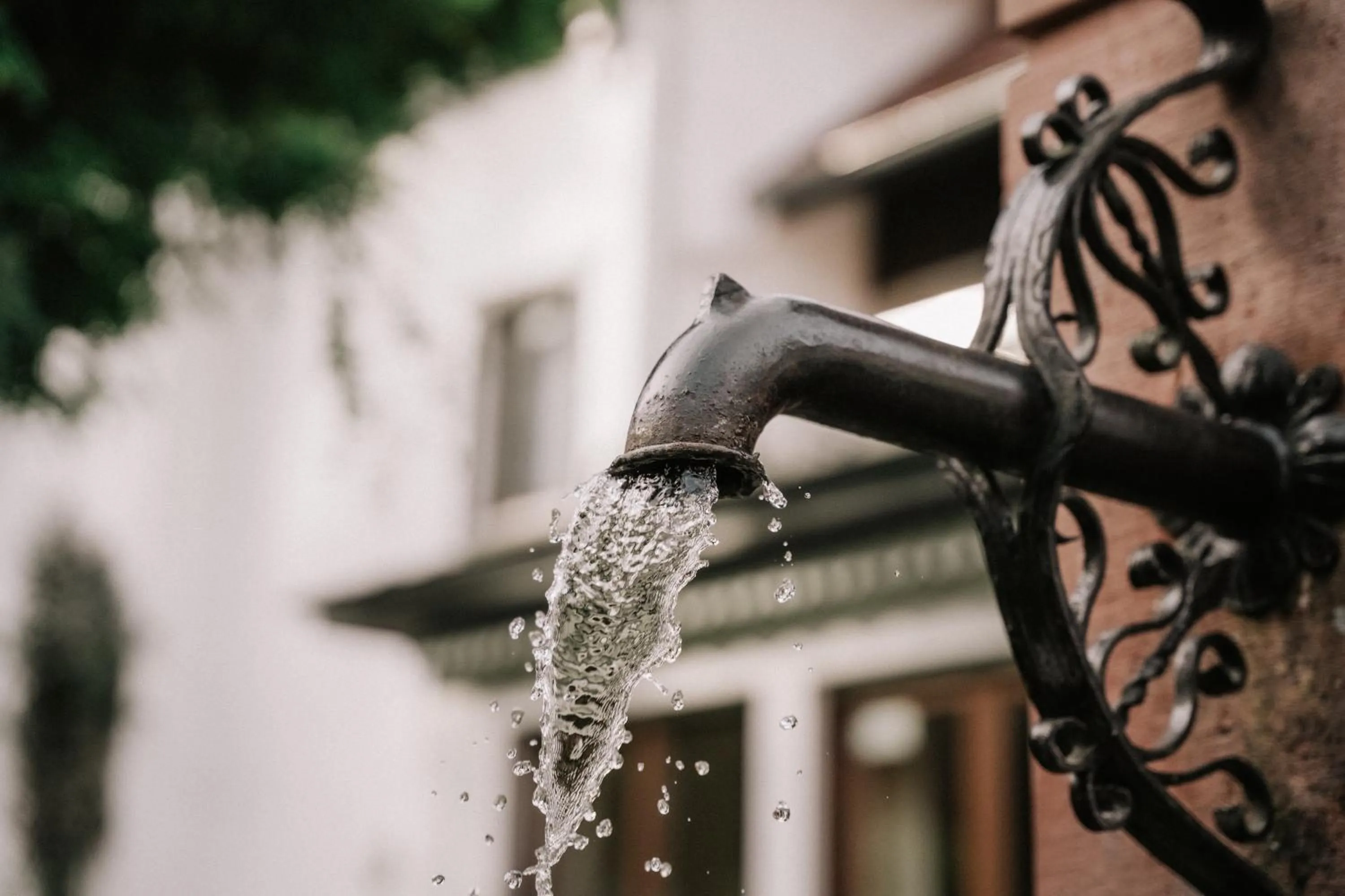 Garden view in Landhotel Waldhaus