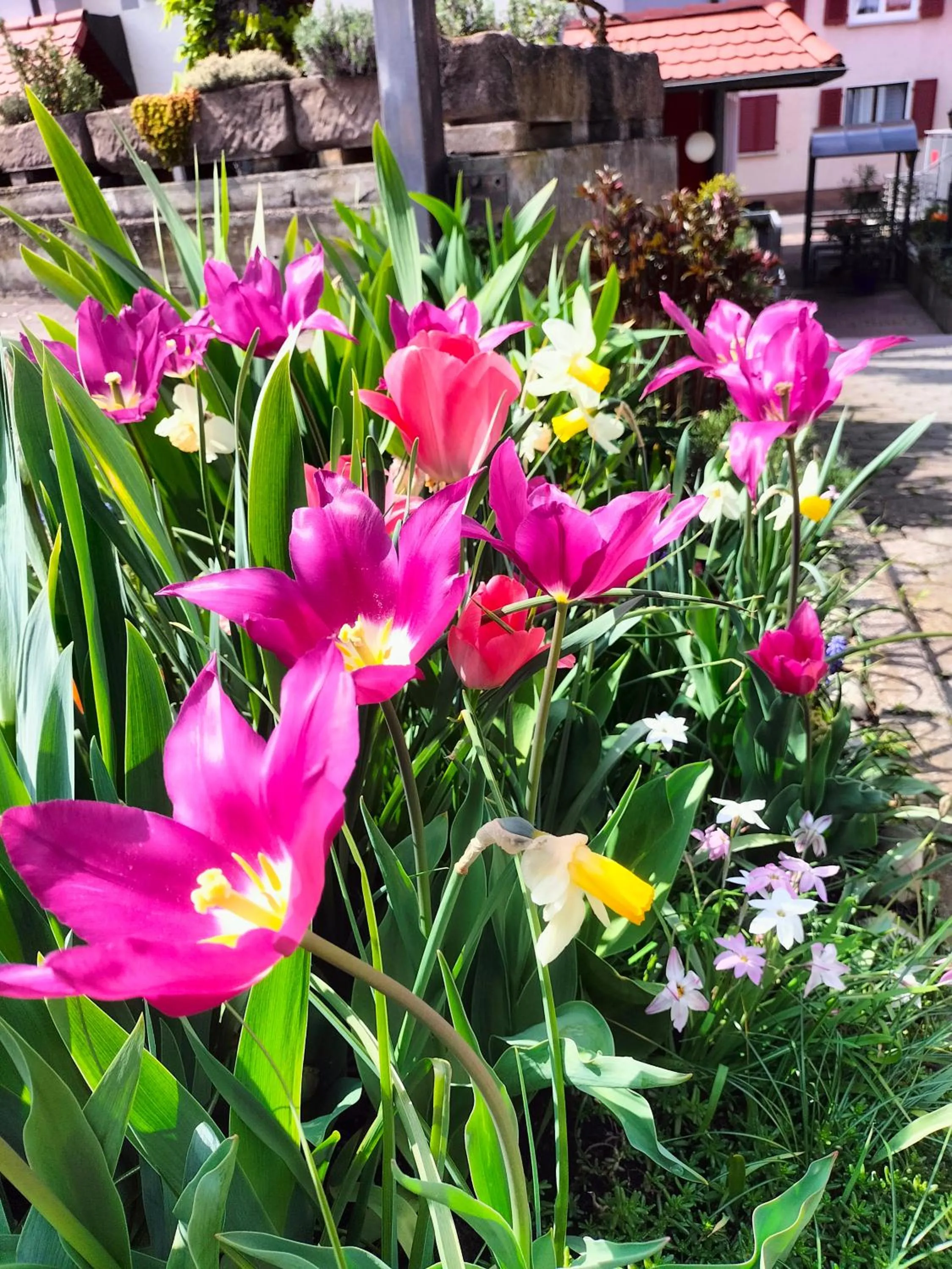 Garden in Hotel Brehm