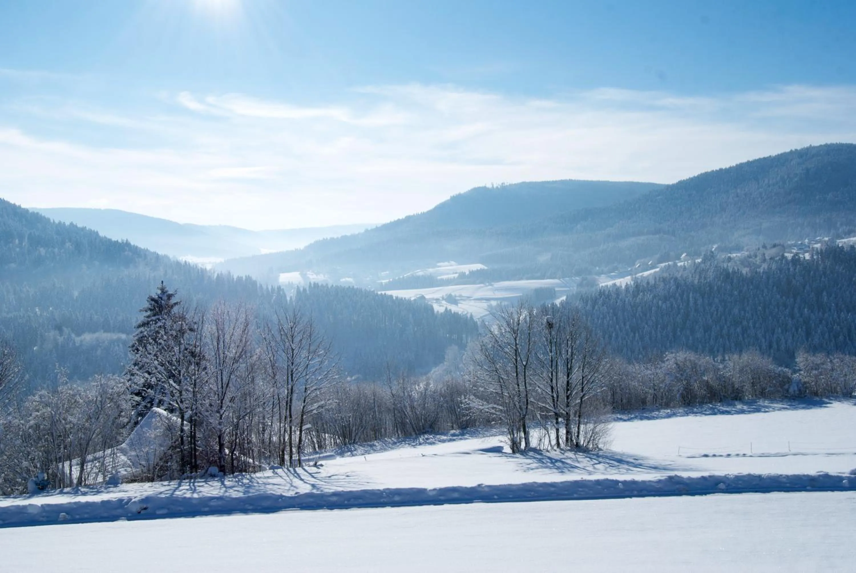 Skiing in Sackmann Genuss und Spa Resort