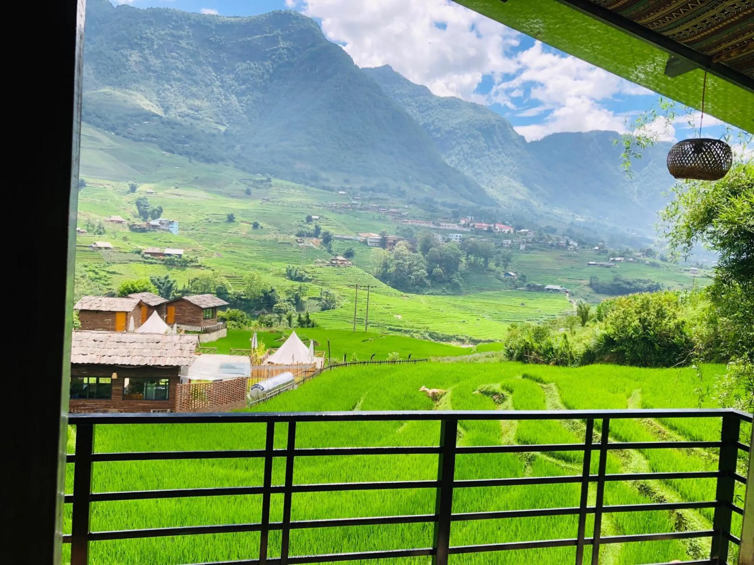 Natural landscape in Sapa Plum Eco House