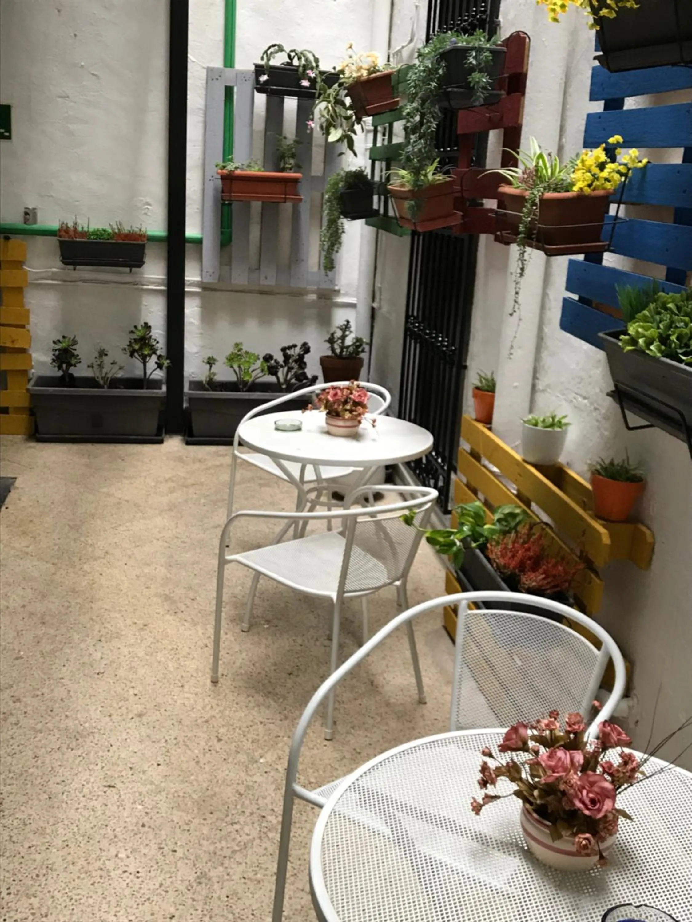 Patio in Hostal El Mercat