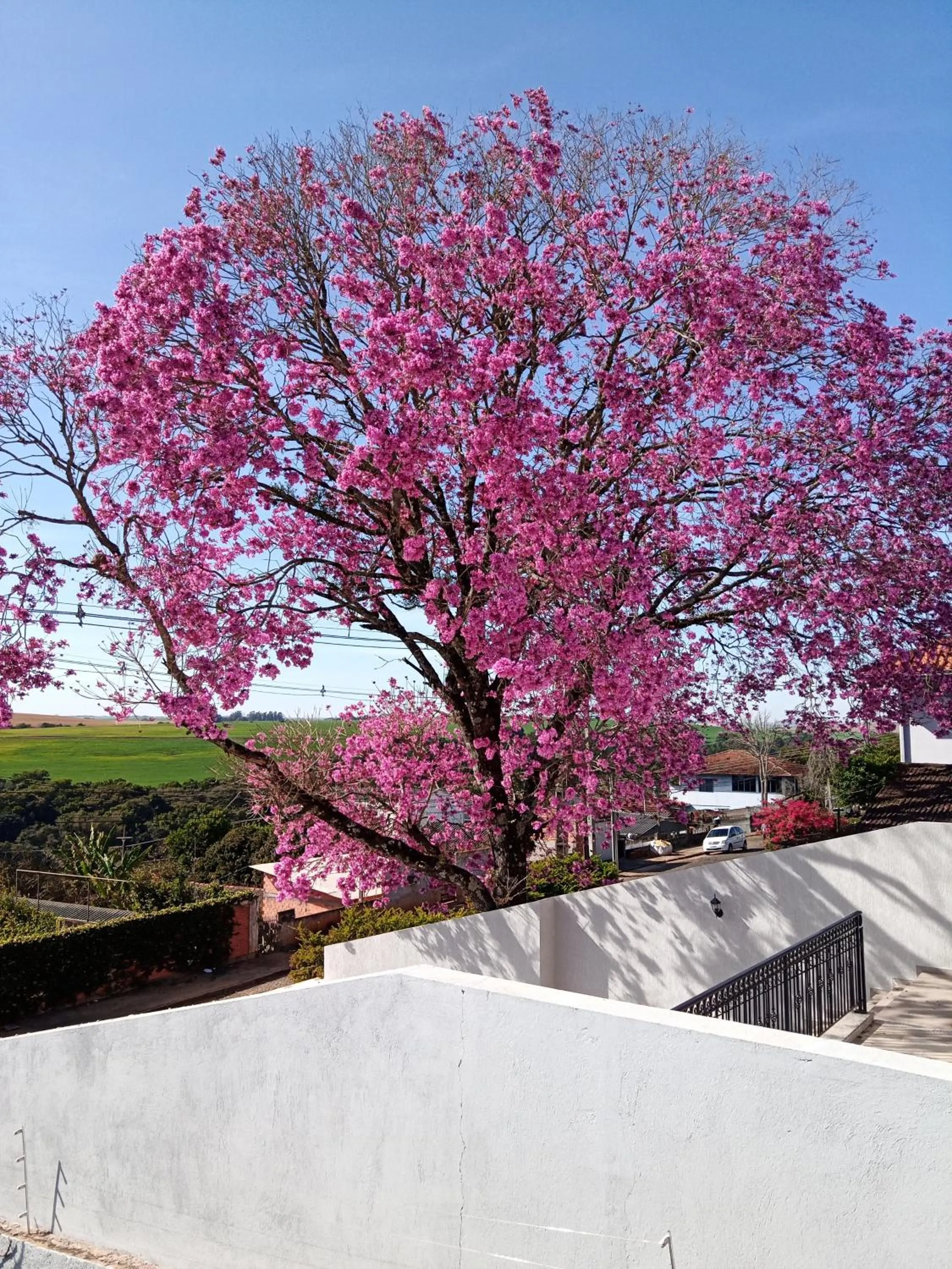 Property building in Pousada La Casona
