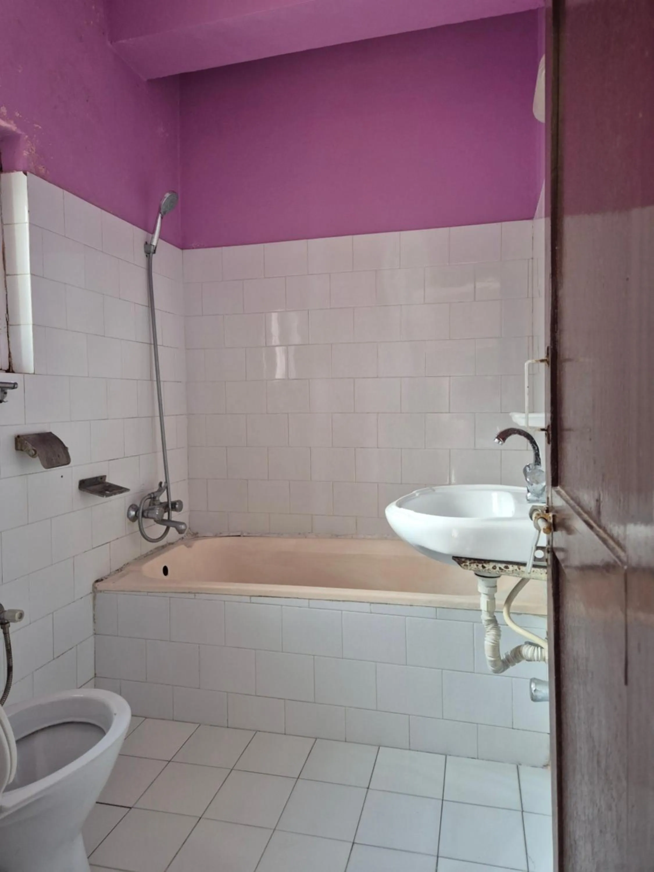 Hotel Fishtail Villa