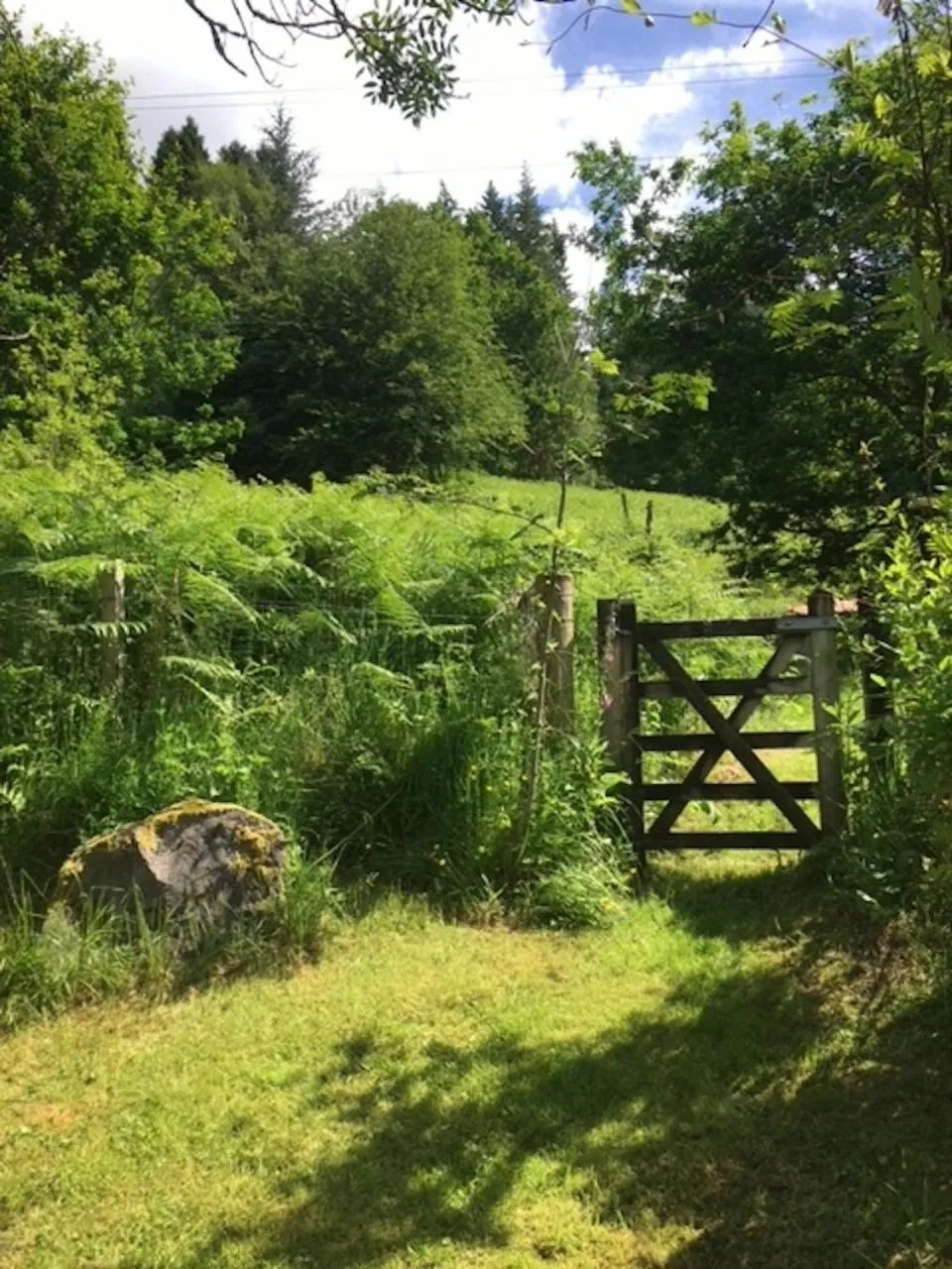 Garden view in 4 Balvaig Cottage, Strathyre