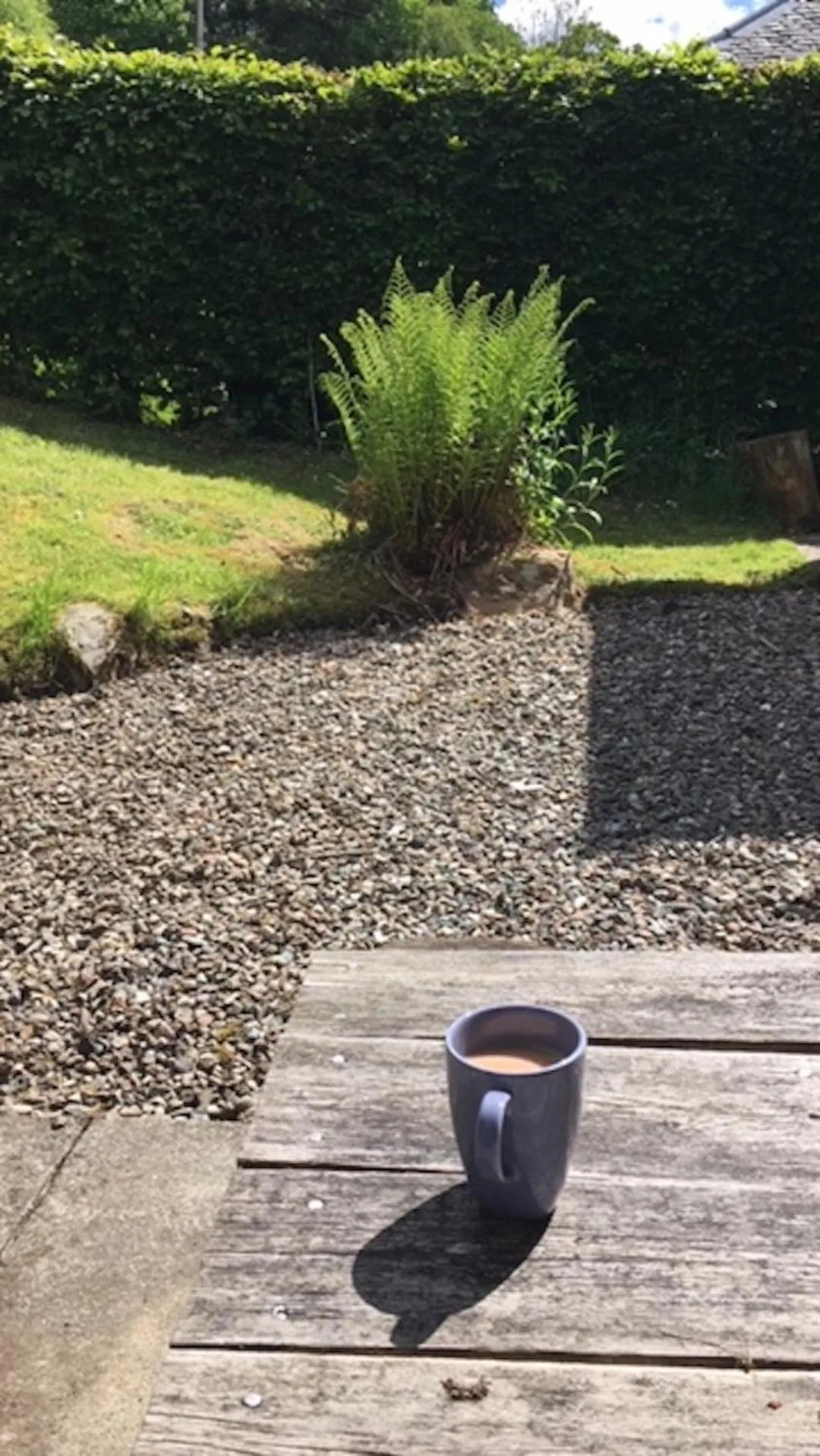 Garden in 4 Balvaig Cottage, Strathyre