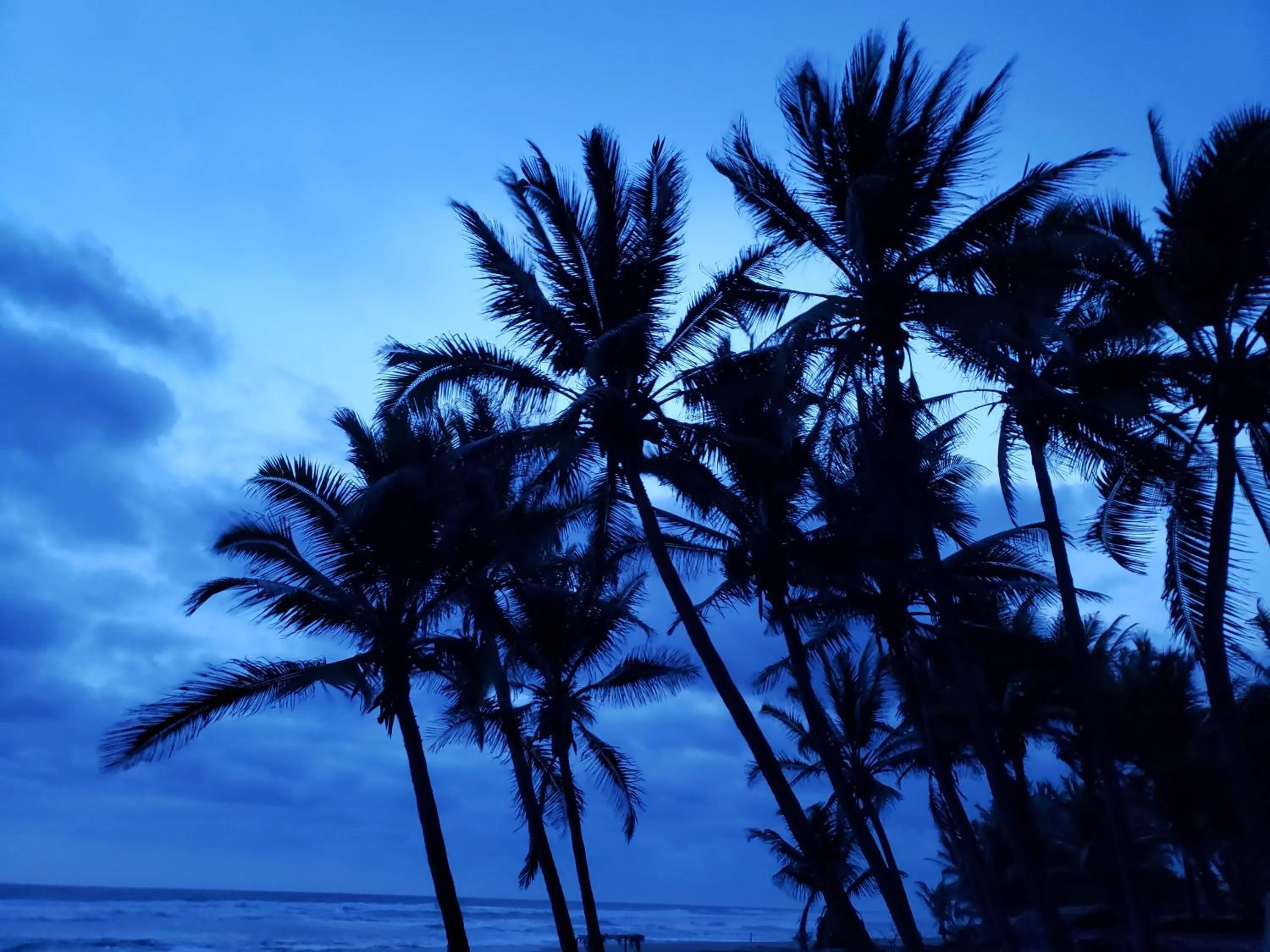 Property building in Bungalows La Perla Playa Azul