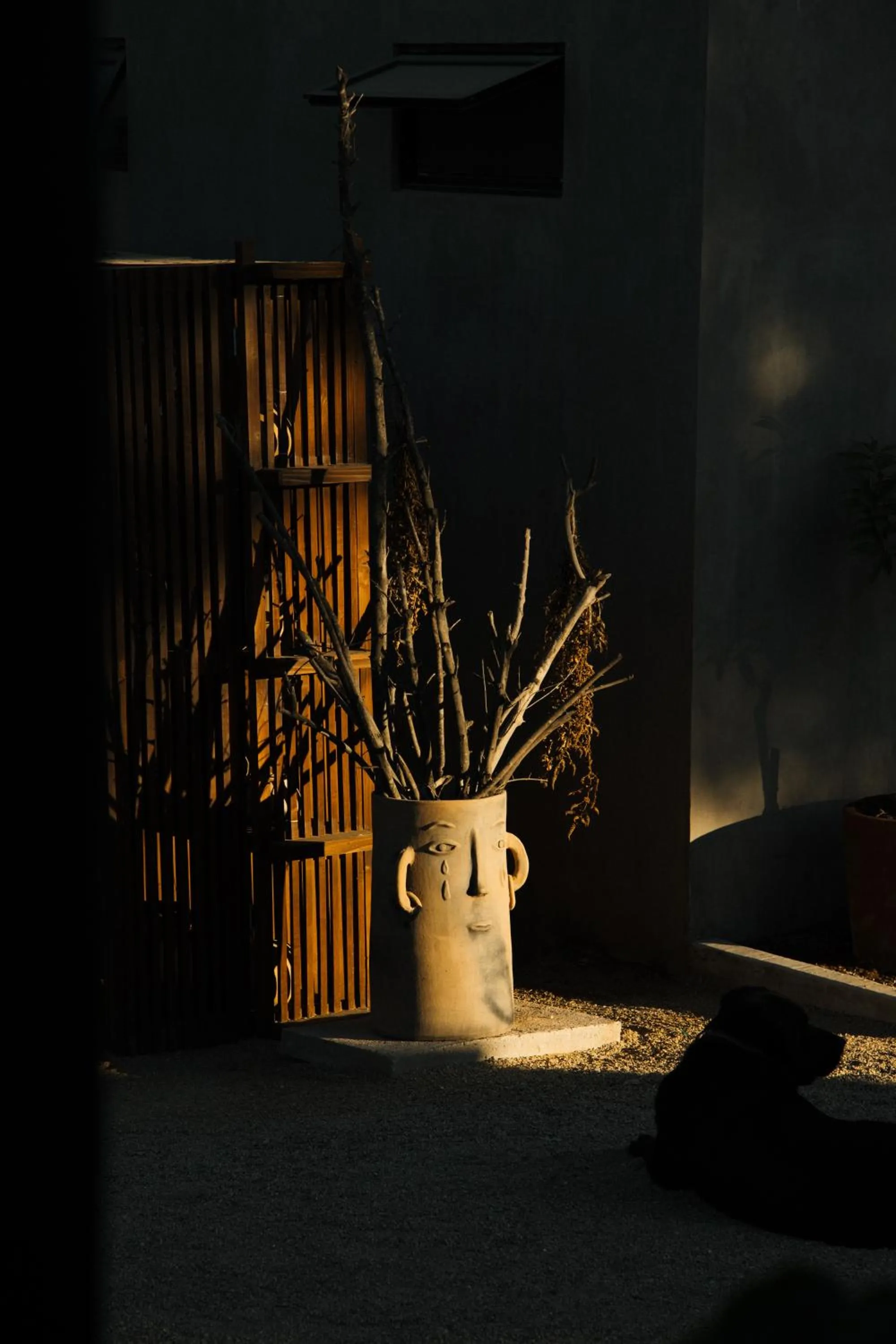 Decorative detail in Casa Michaus Valle de Guadalupe