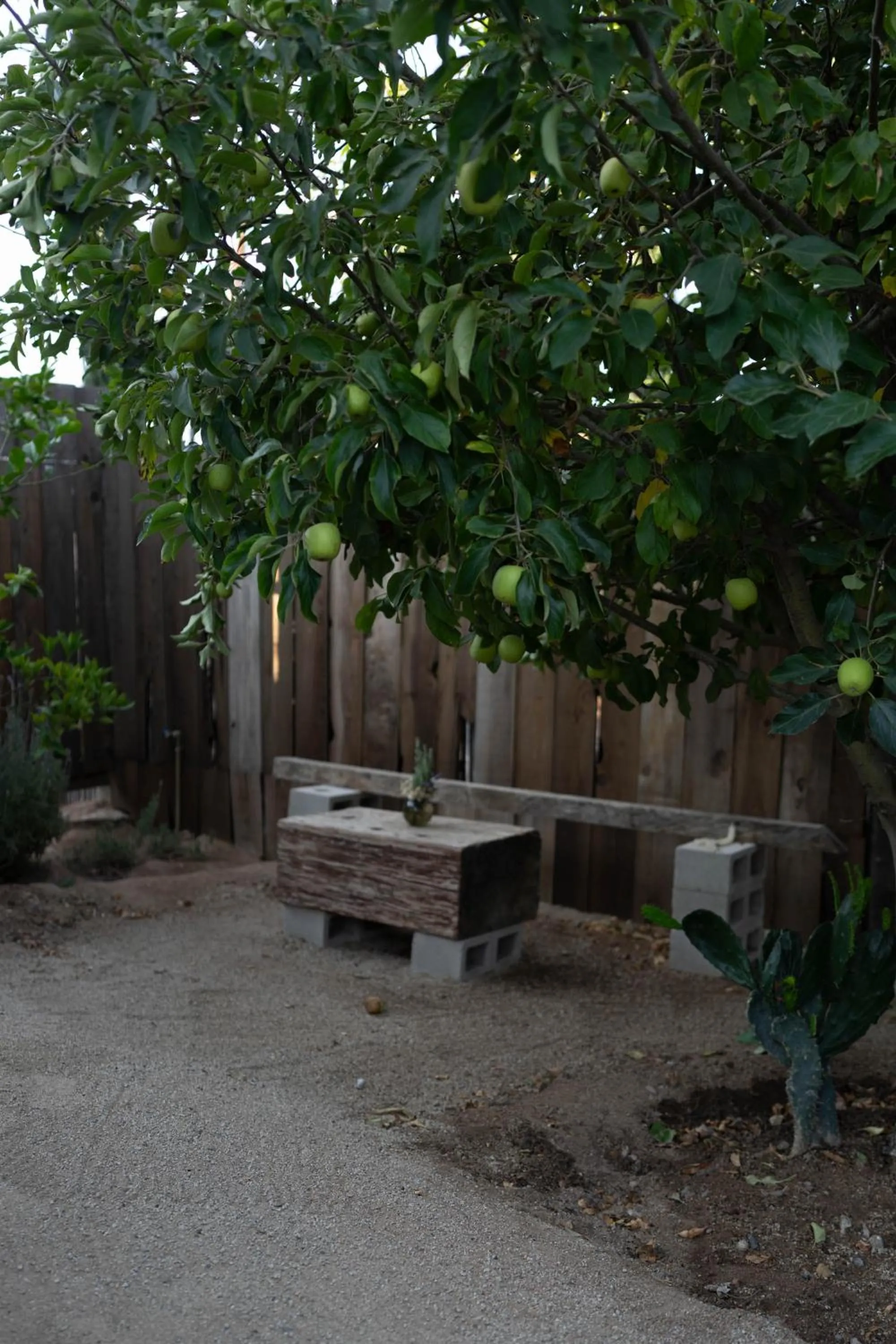 Garden in Casa Michaus Valle de Guadalupe