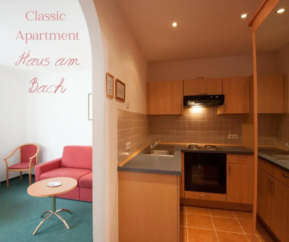 Classic Apartment - single occupancy in Hotel Schwaiger Classic Apartment - single occupancy in Hotel Schwaiger