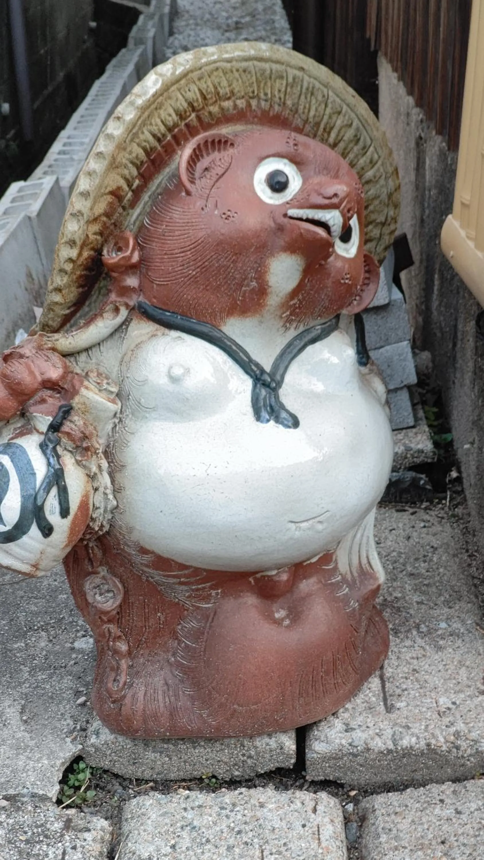 Kyoto Osaka SUMIREYA