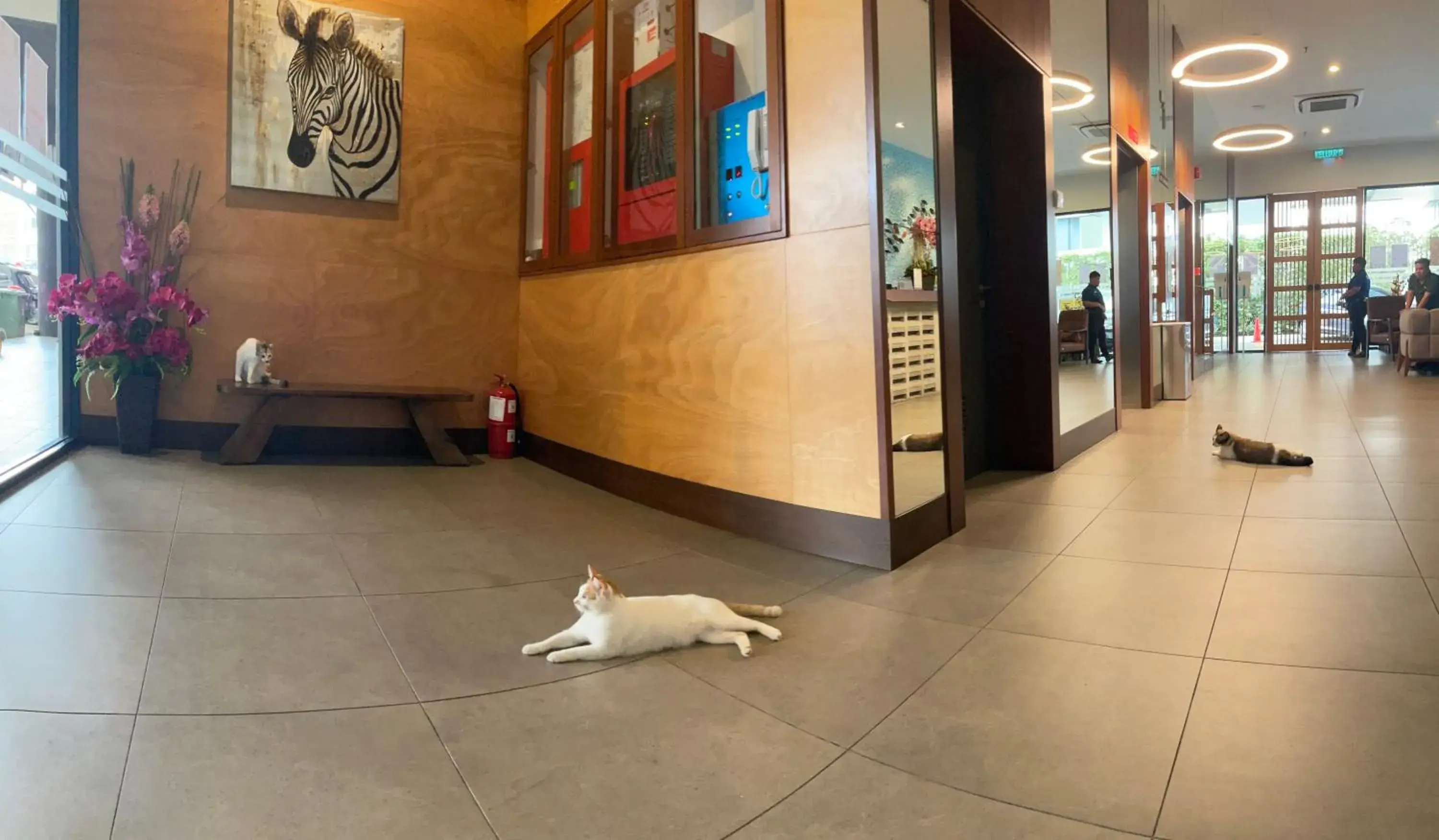 Lobby or reception in Win Hotel Lobby or reception in Win Hotel