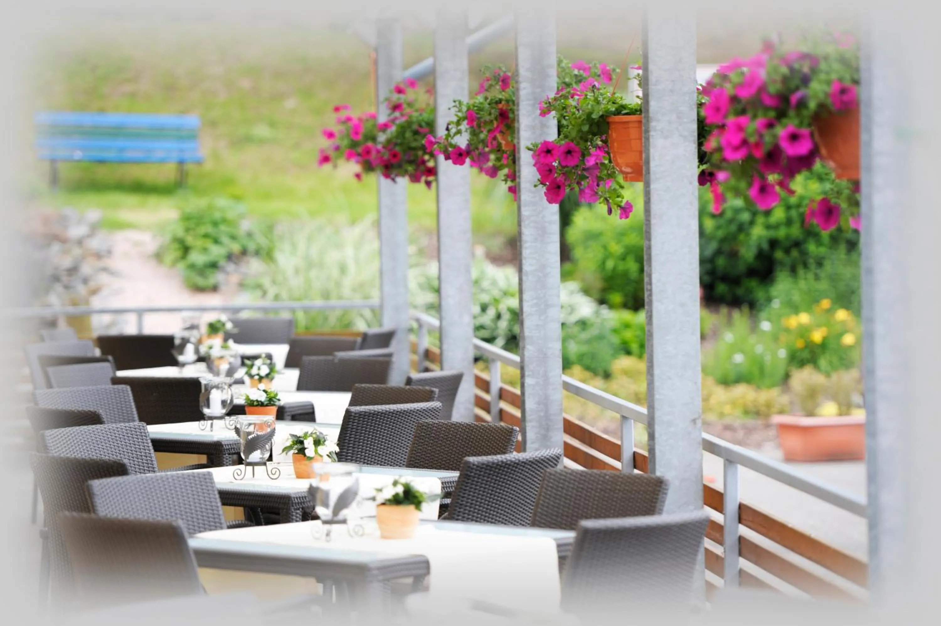 Restaurant/places to eat in Waldhotel Felschbachhof