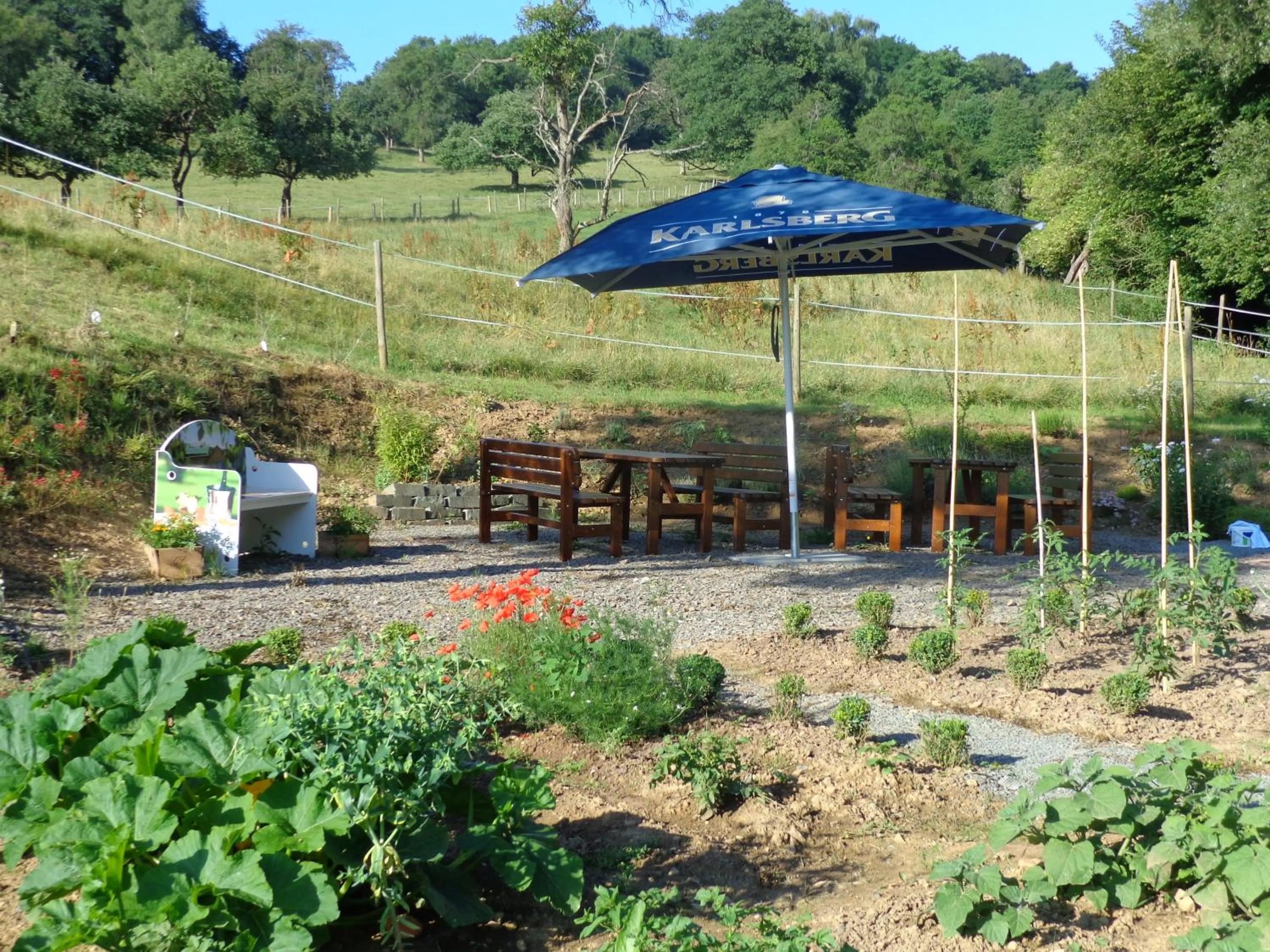 Garden in Waldhotel Felschbachhof