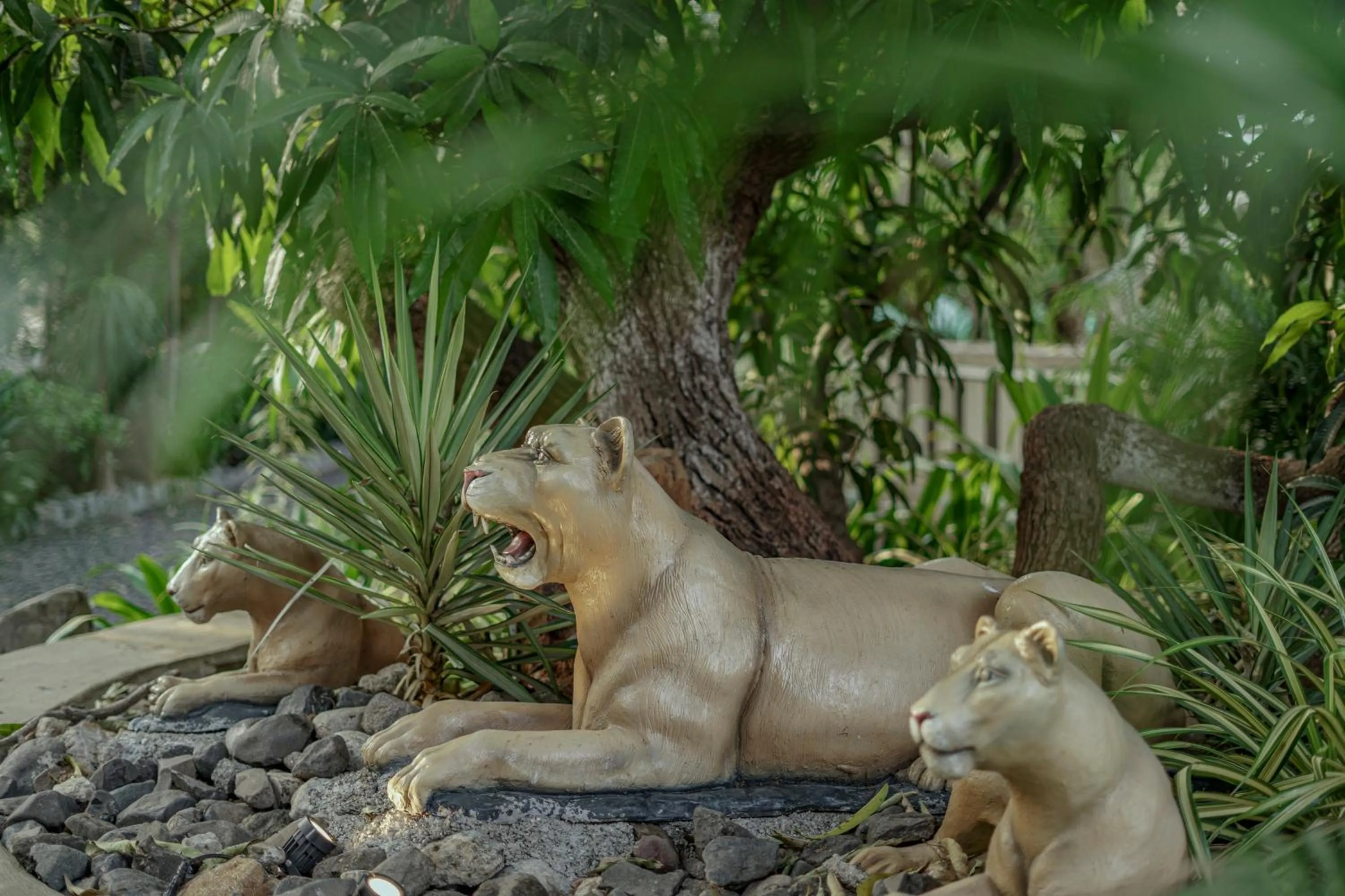 Other in Sterling Gir