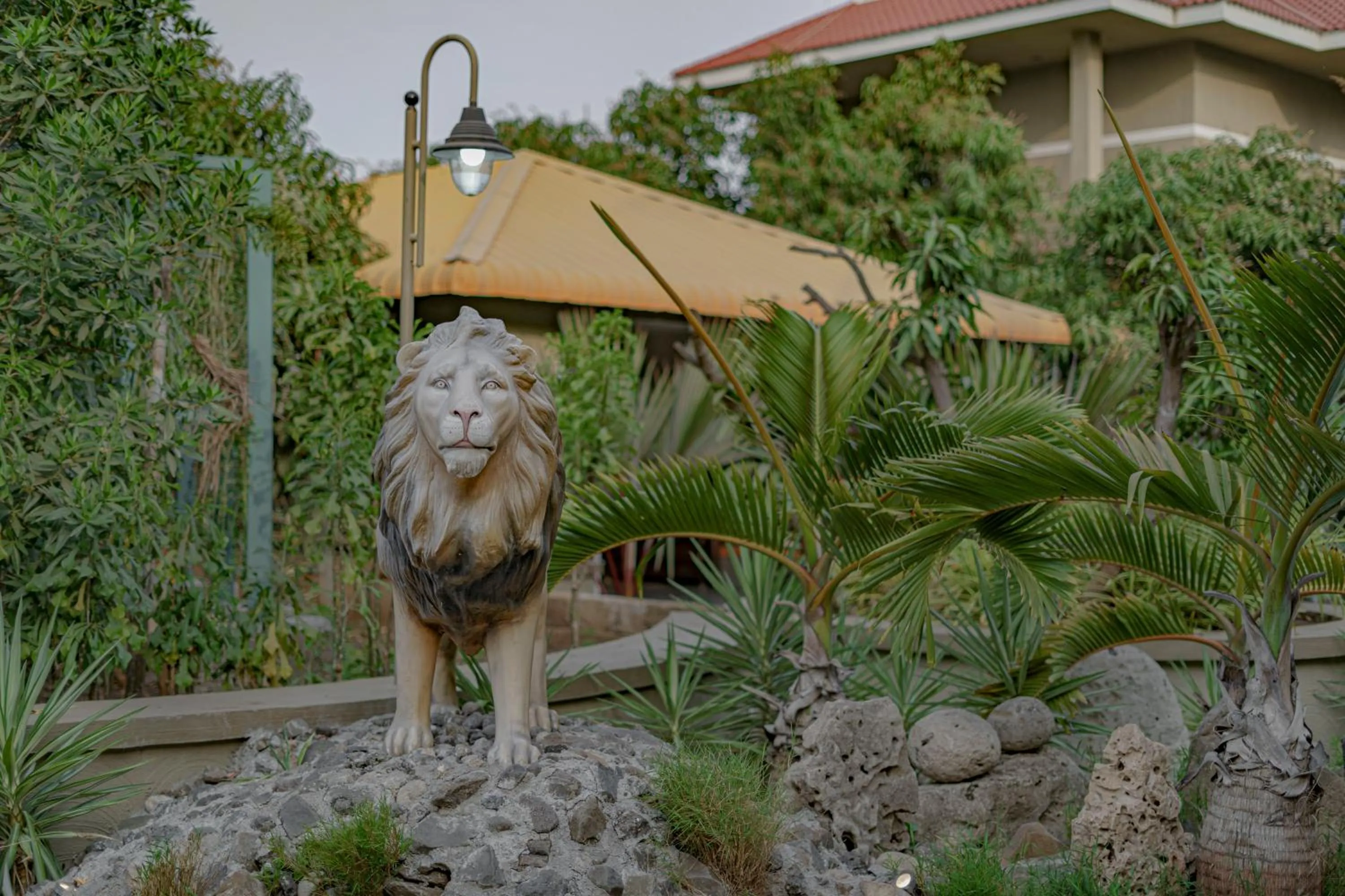 Garden in Sterling Gir