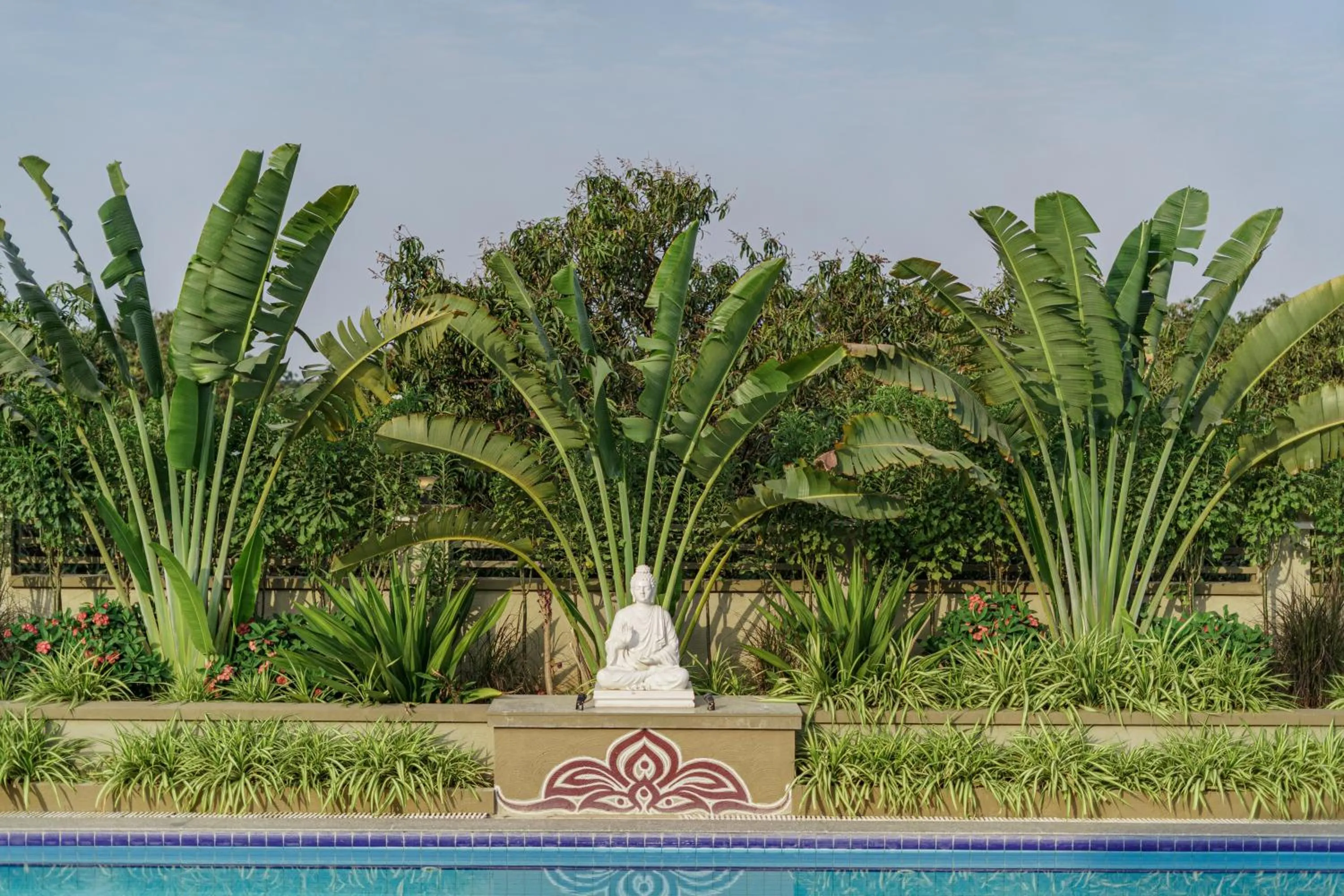 Garden view in Sterling Gir