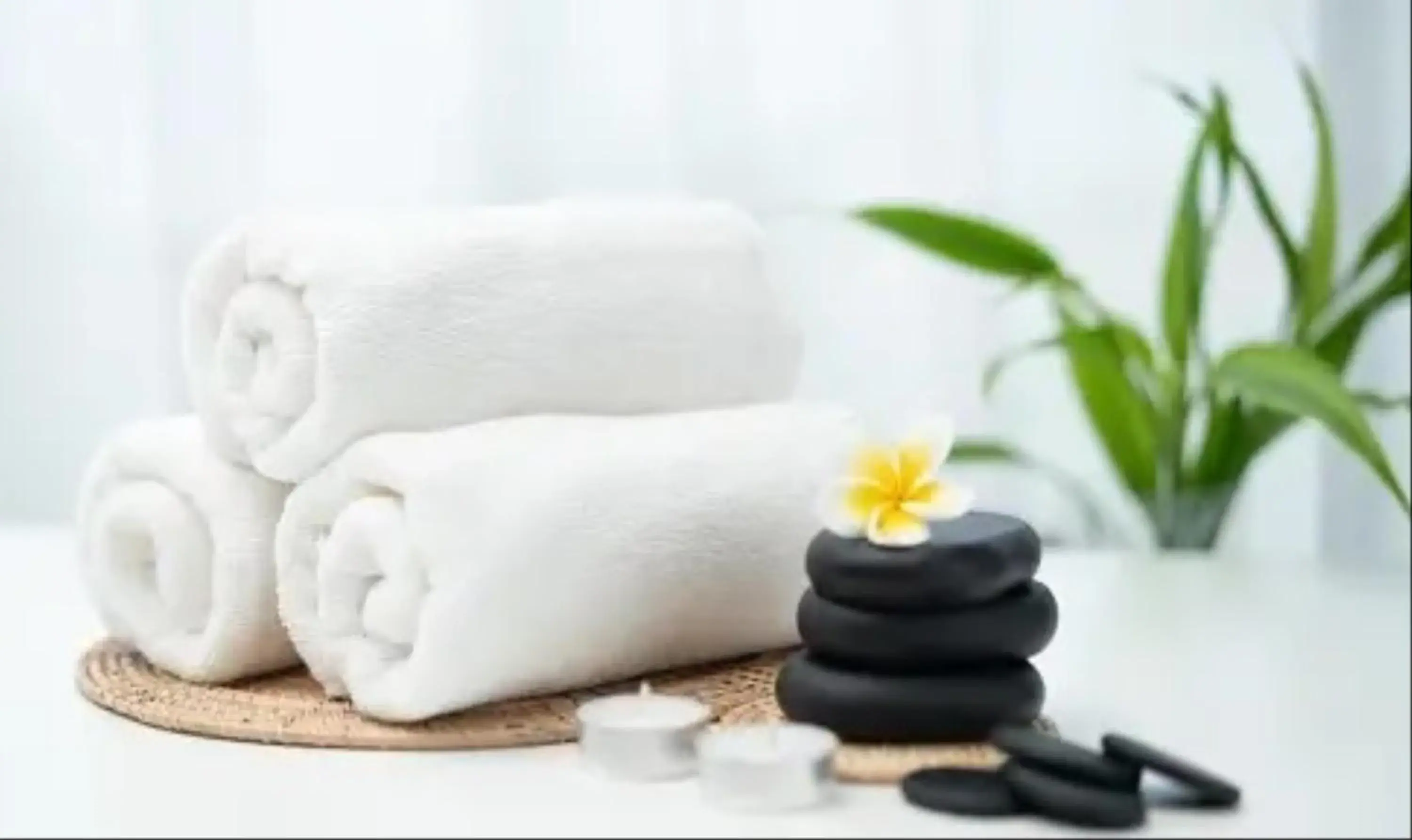 Spa and wellness centre/facilities in Sterling Gir Spa and wellness centre/facilities in Sterling Gir