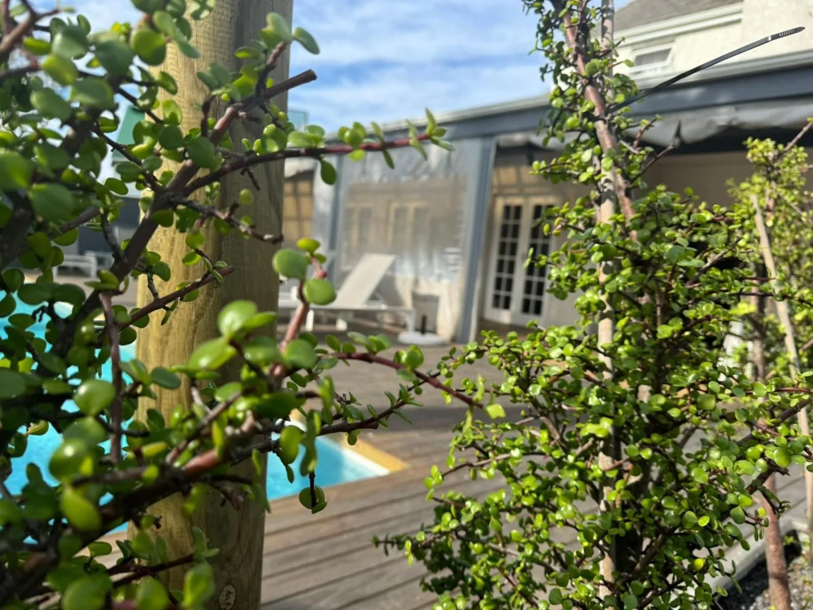 Garden in THE PLACE Muizenberg