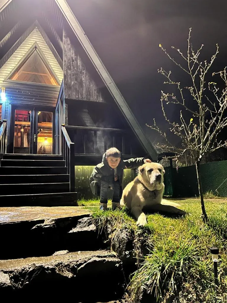 Sapanca Çağlayan Bungalow