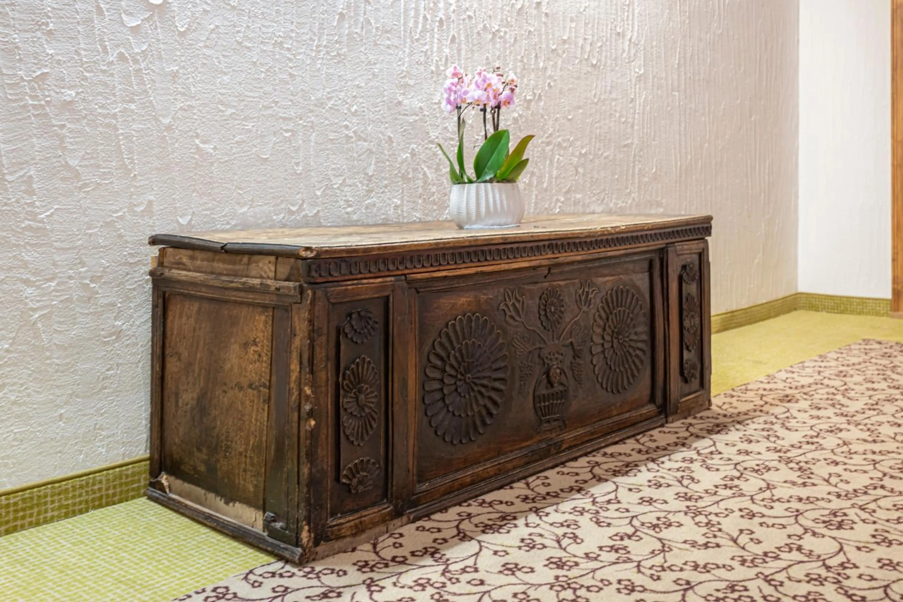 Area and facilities in Hotel Rosatsch