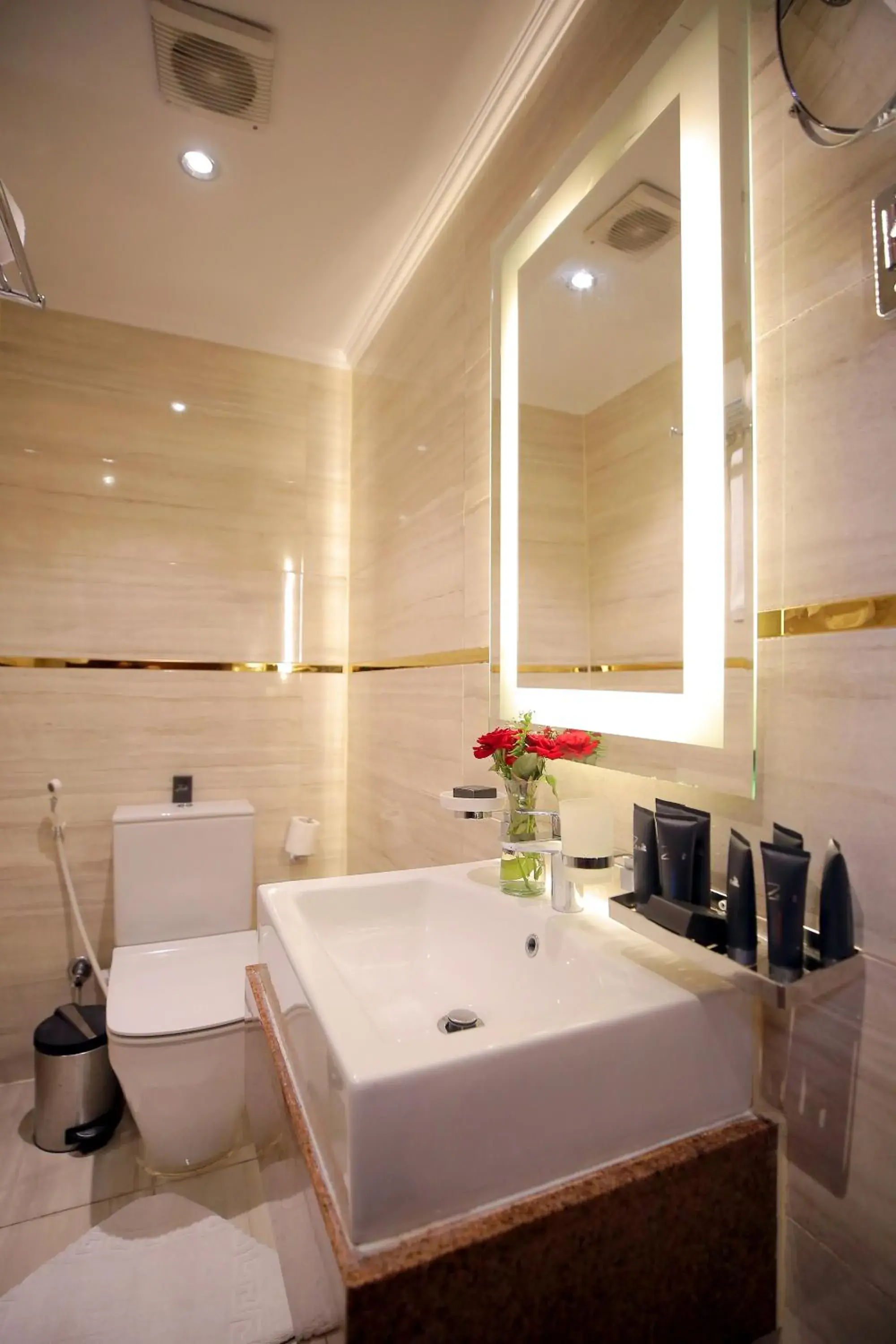 Deluxe Double Room (2 Adults + 1 Child) in Cairo Taj Hotels & Suites - Dokki Deluxe Double Room (2 Adults + 1 Child) in Cairo Taj Hotels & Suites - Dokki