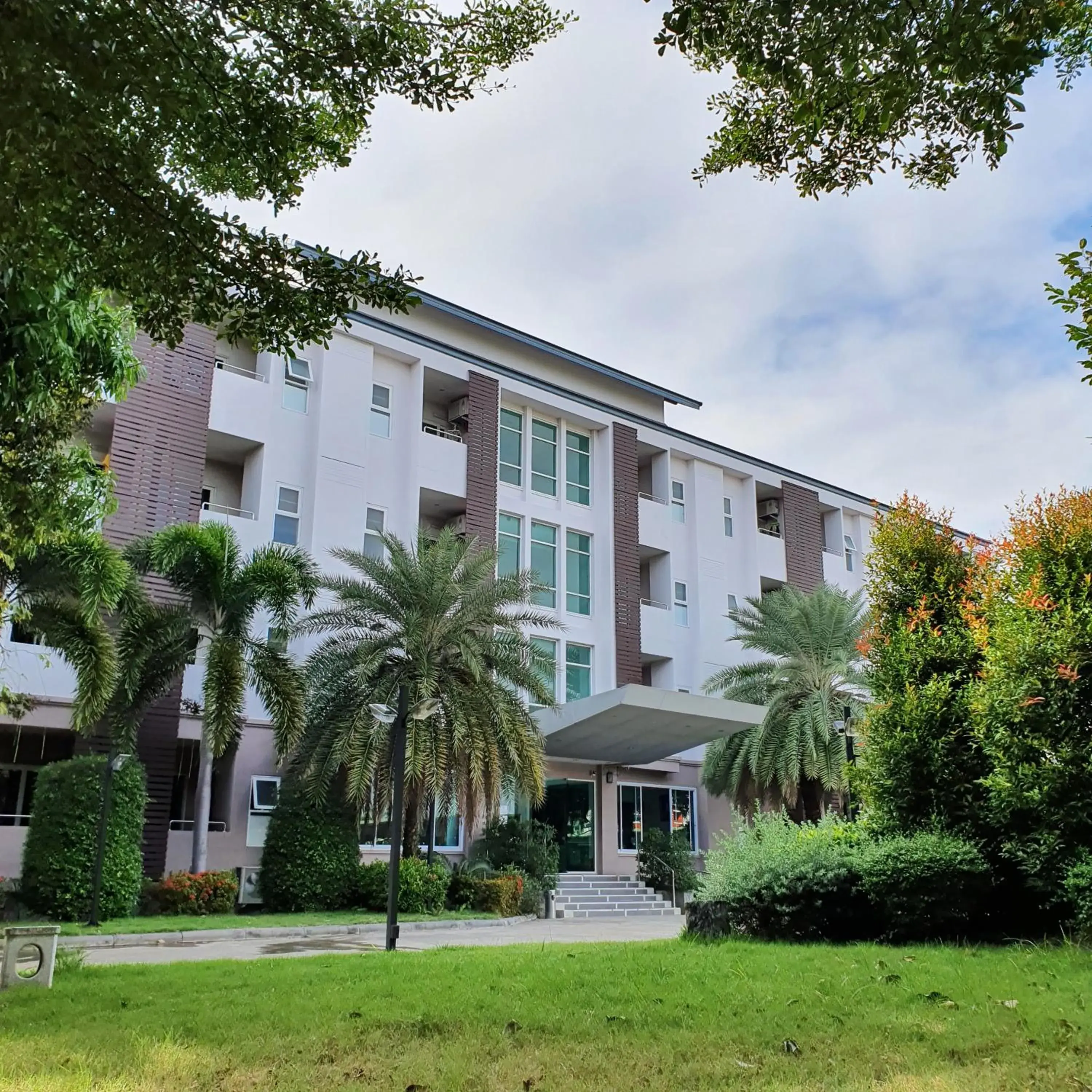 Orchid Surin Orchid Surin