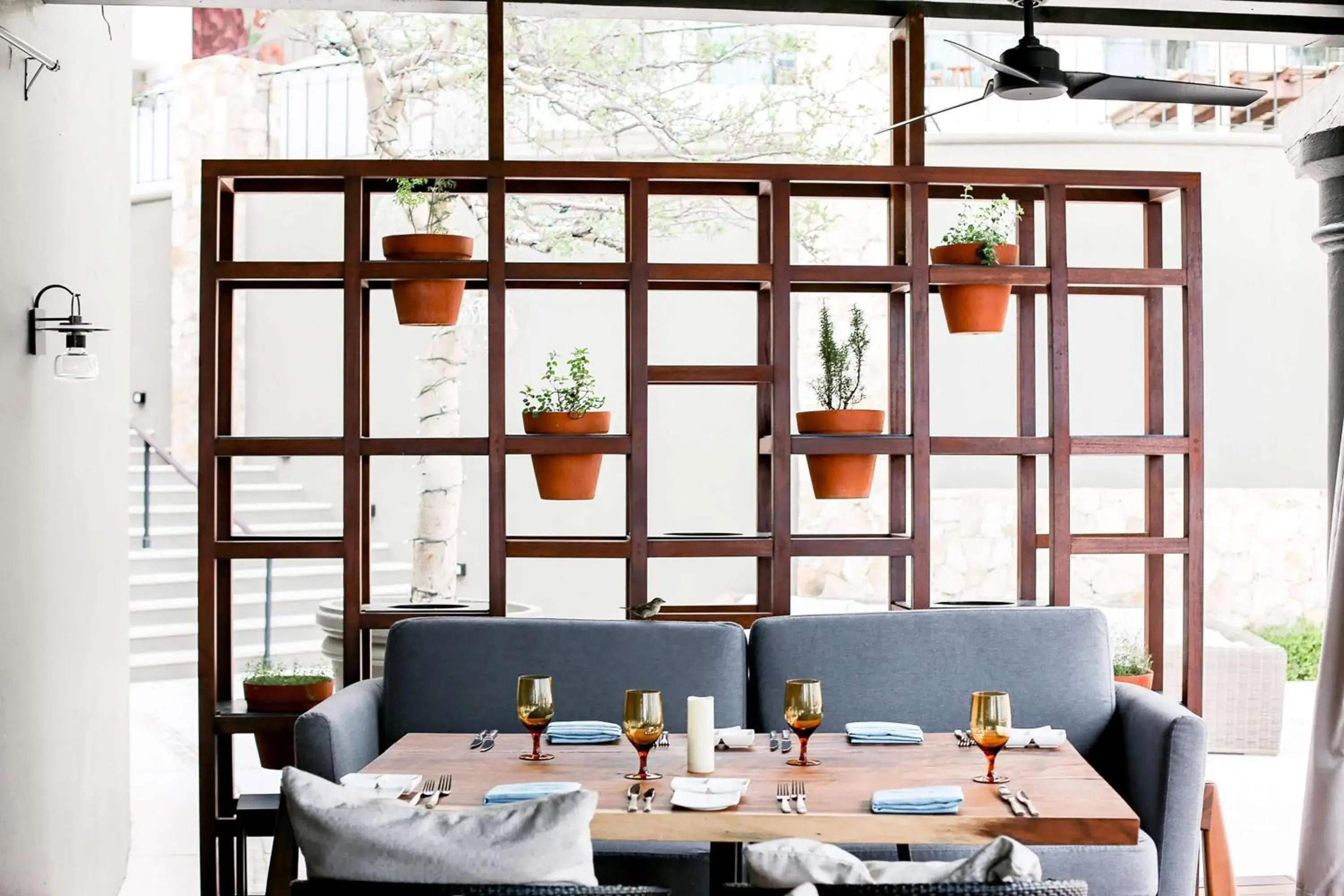 Restaurant/places to eat in Hilton Grand Vacations Club La Pacifica Los Cabos Restaurant/places to eat in Hilton Grand Vacations Club La Pacifica Los Cabos