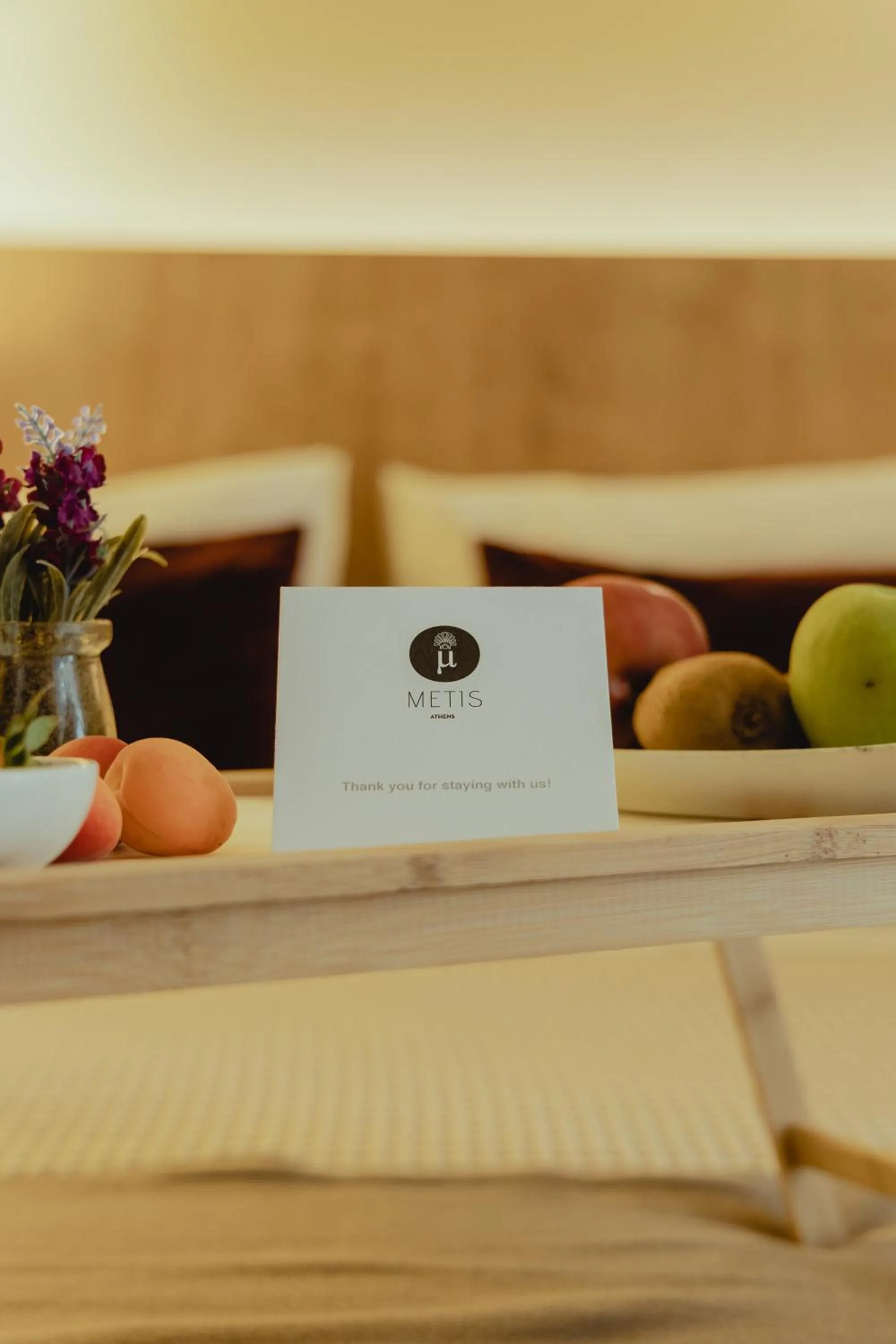 Area and facilities in Metis Urbane Living Spaces