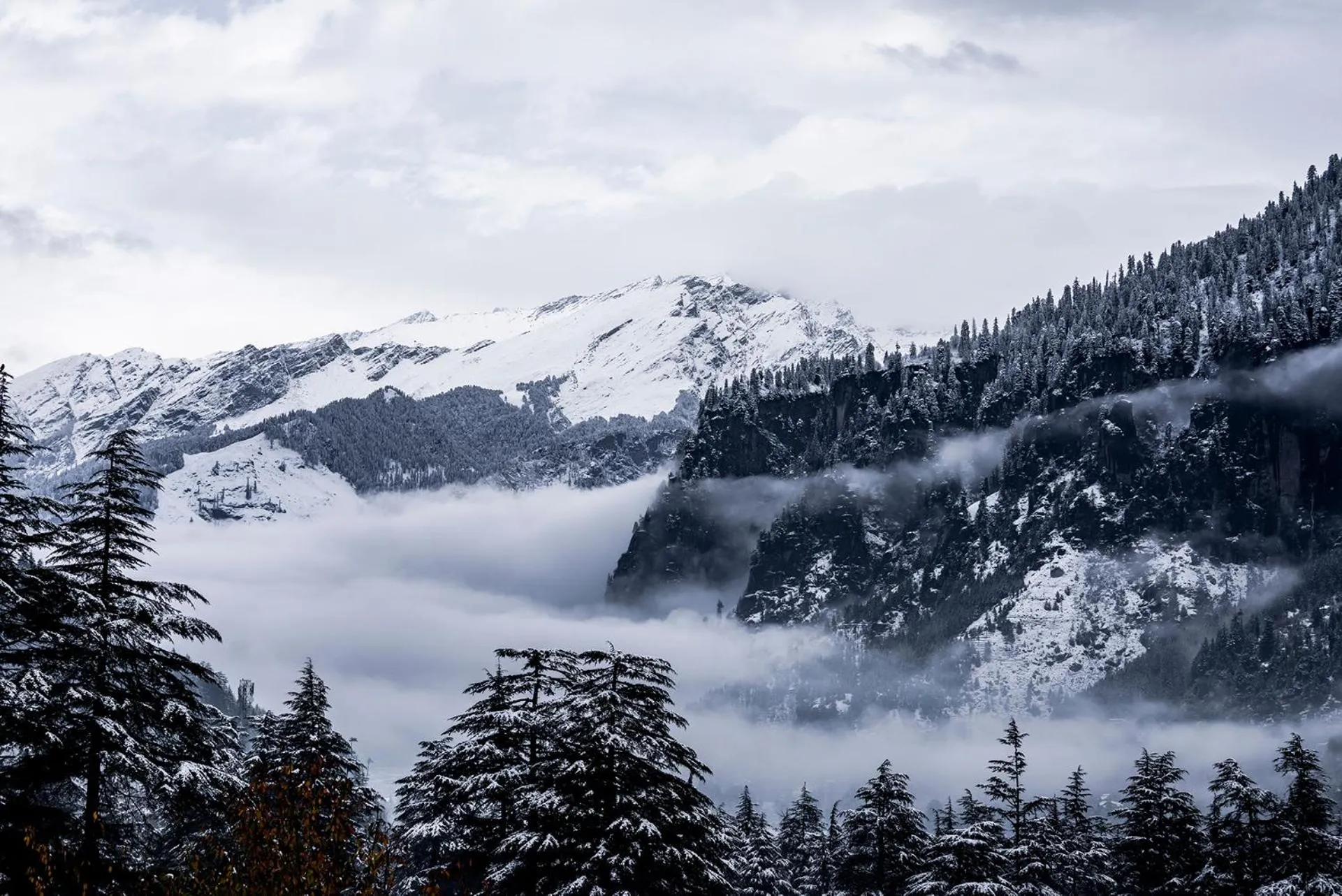 View (from property/room) in Zen Manali by Keekoo Stays