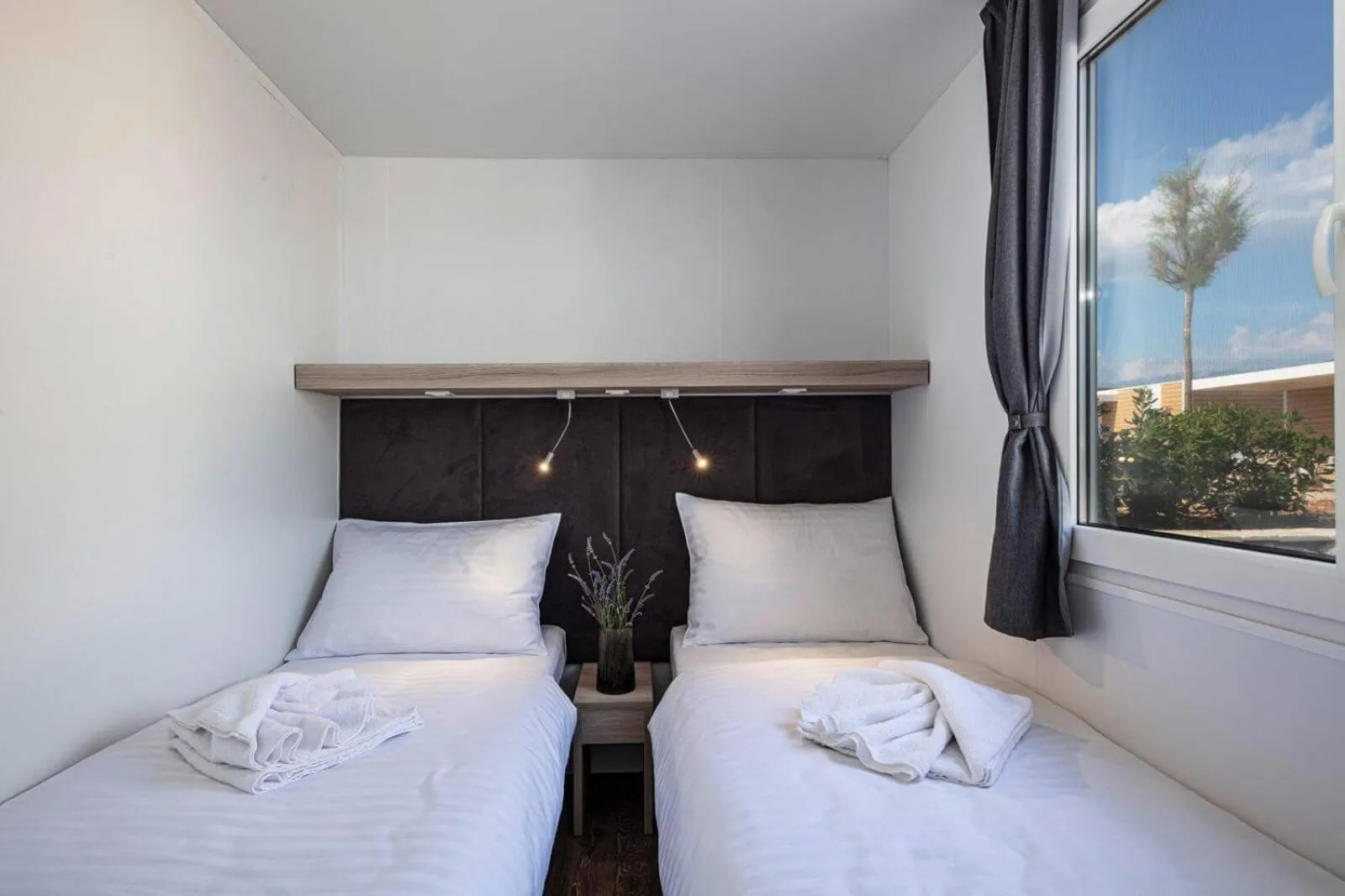 Bed in Terra Park Phalaris