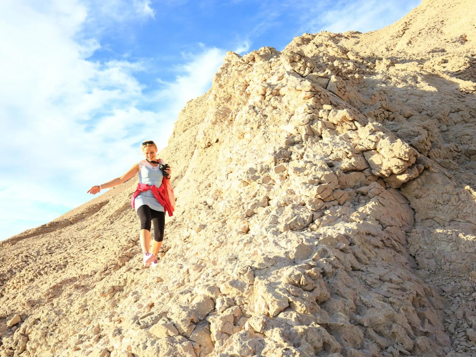 Activities in Terra Park Phalaris