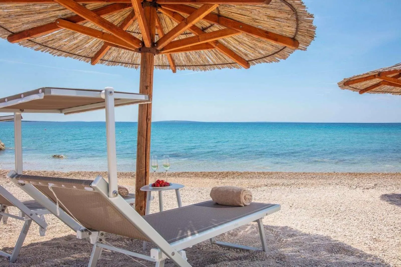 Beach in Terra Park Phalaris