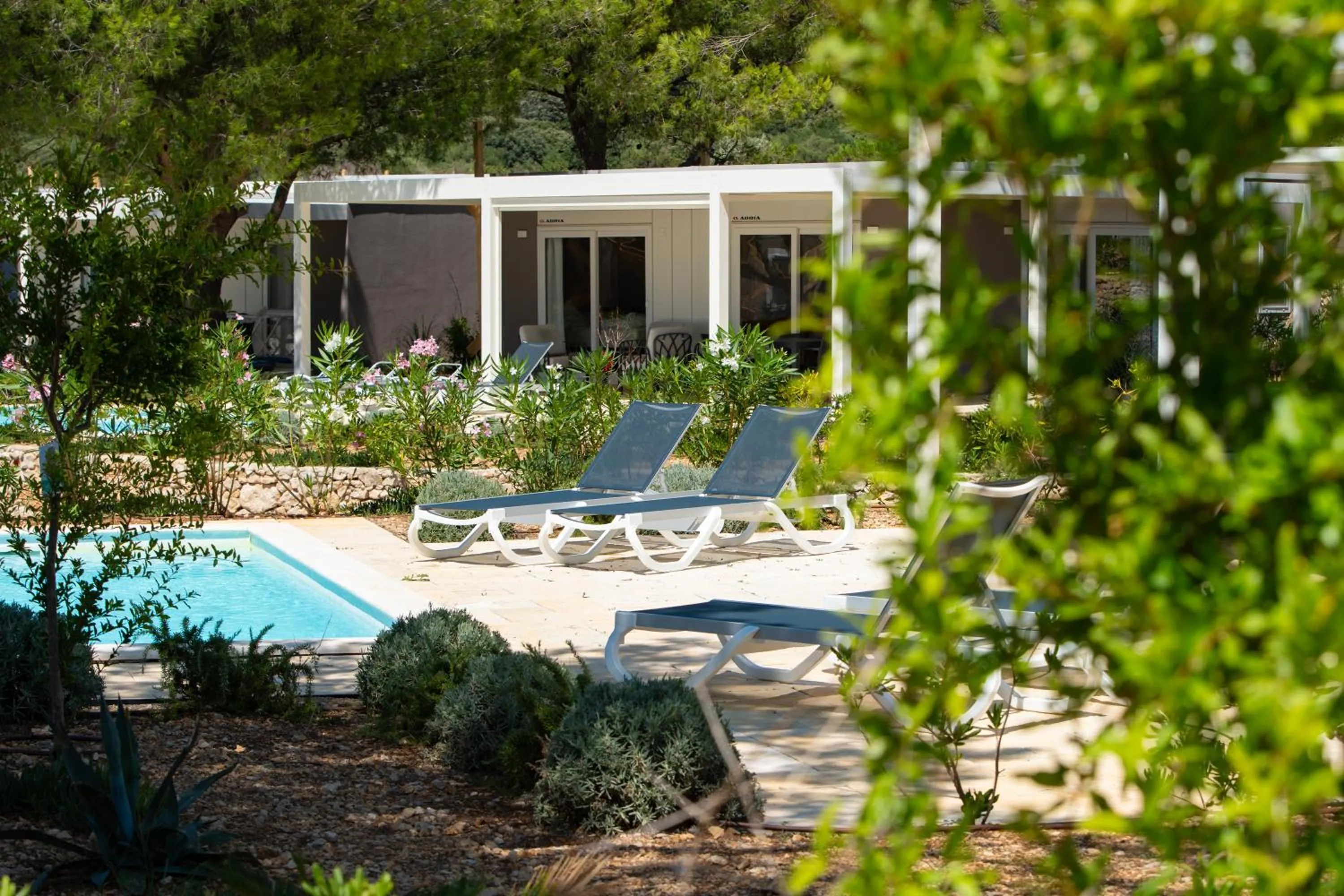 Swimming pool in Terra Park Phalaris