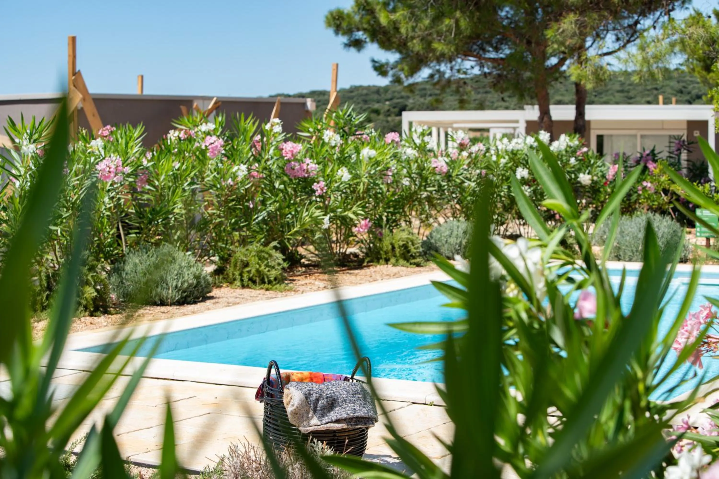 Swimming pool in Terra Park Phalaris