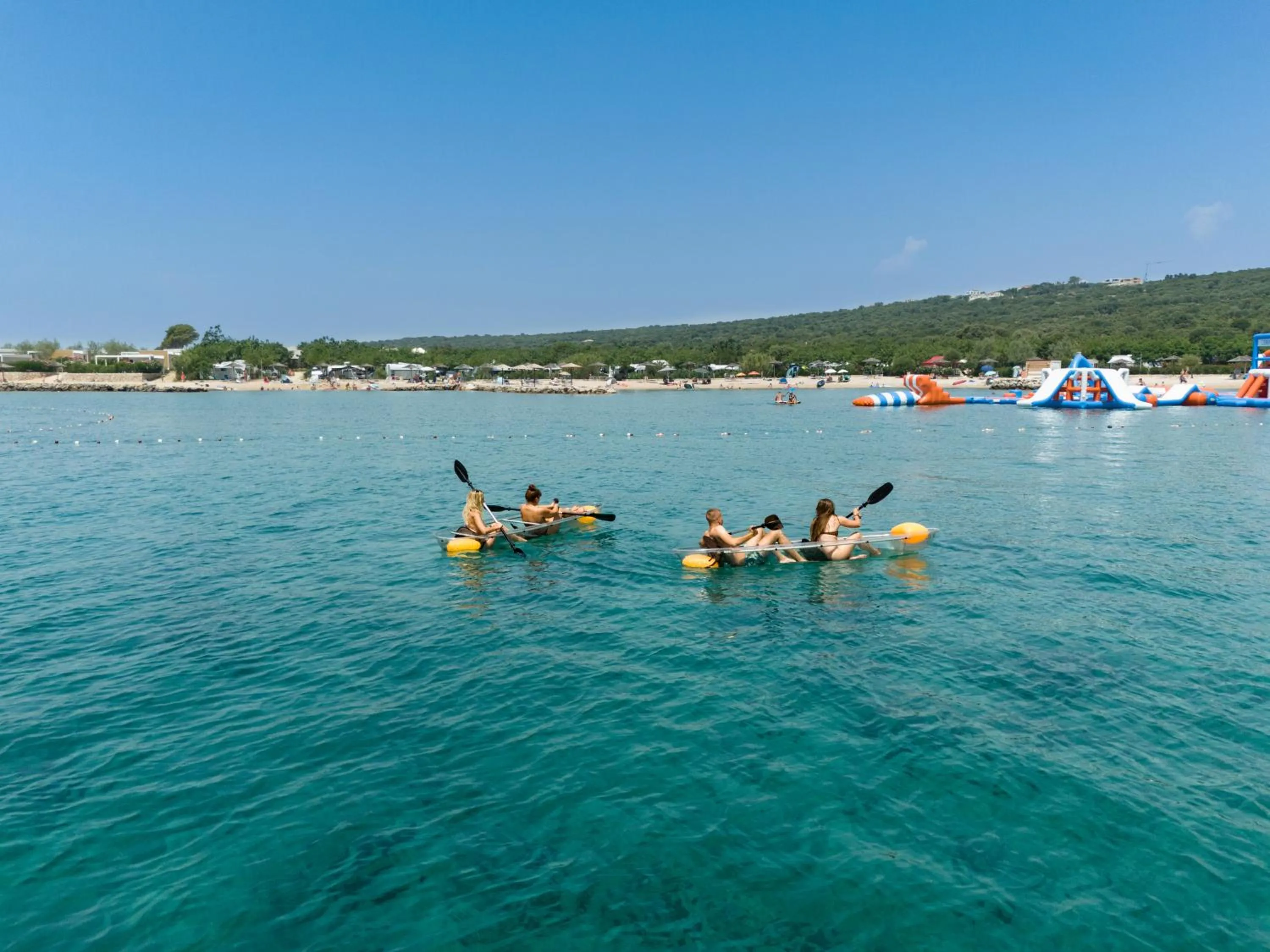 Beach in Terra Park Phalaris