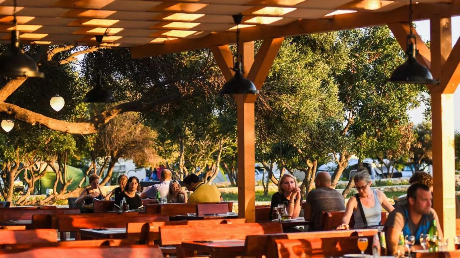 Food and drinks in Terra Park Phalaris