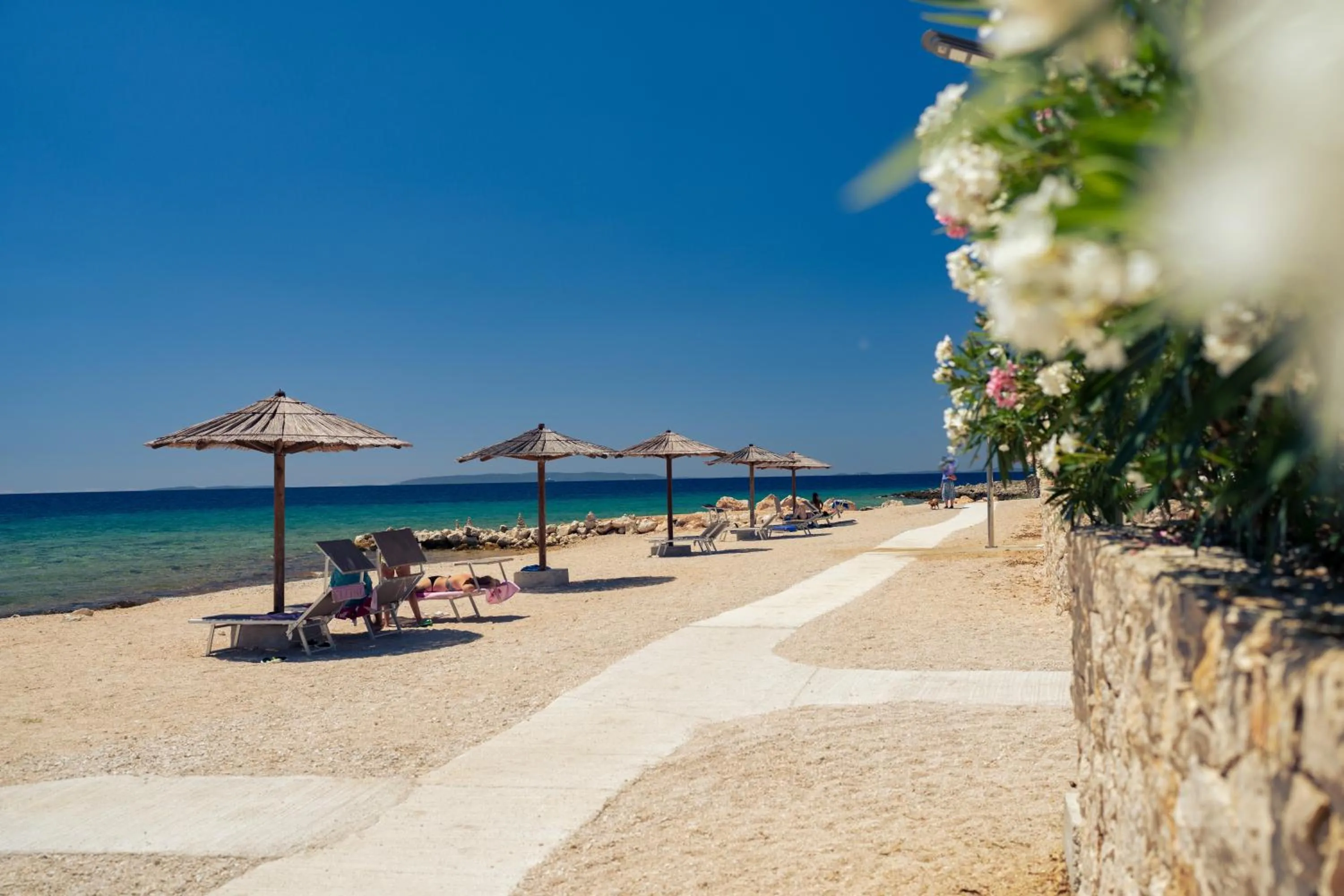 Beach in Terra Park Phalaris