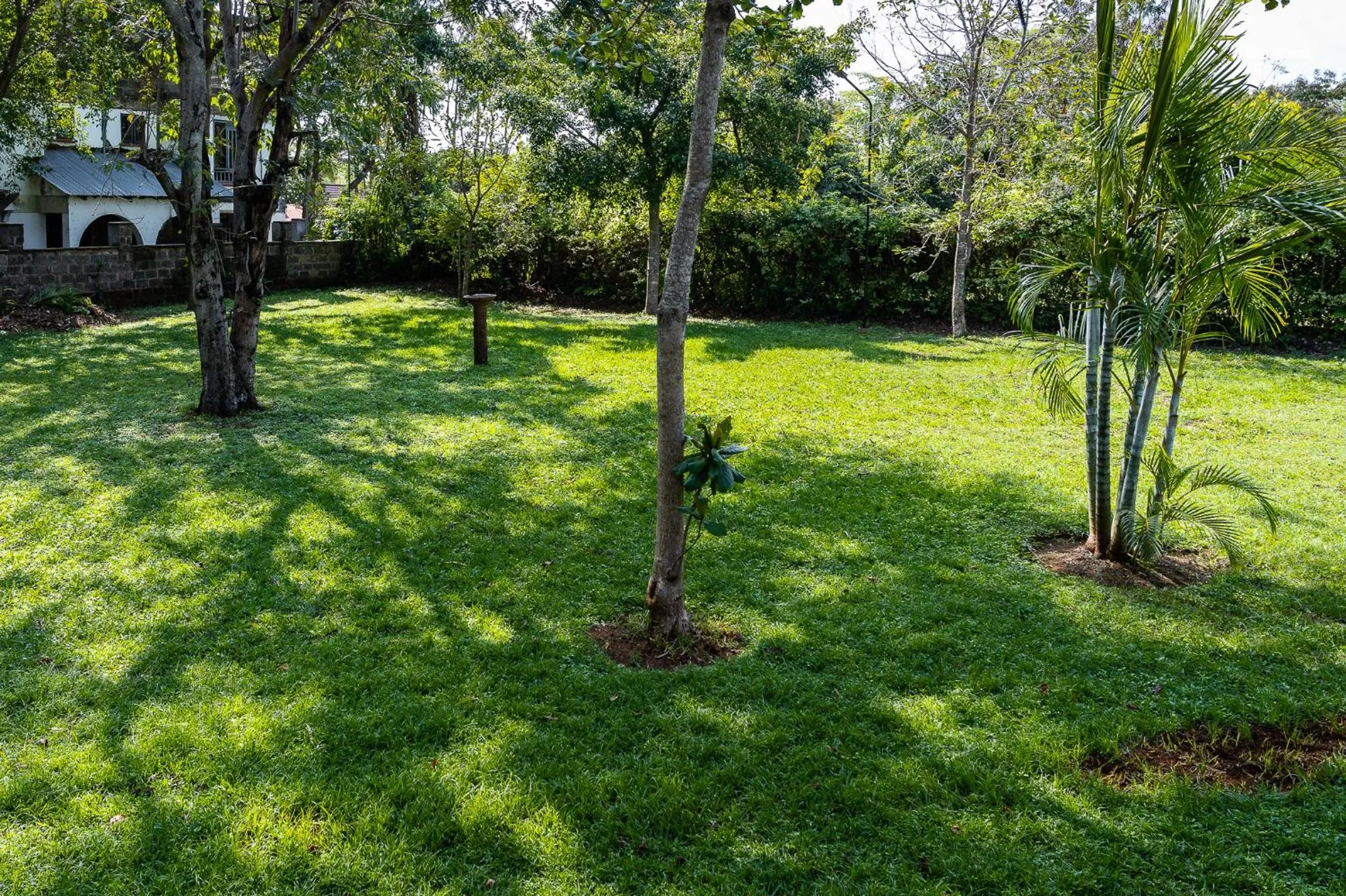 Garden in Harry's Kisumu Oasis