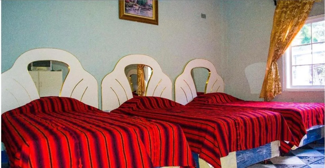 Hotel Amigo
